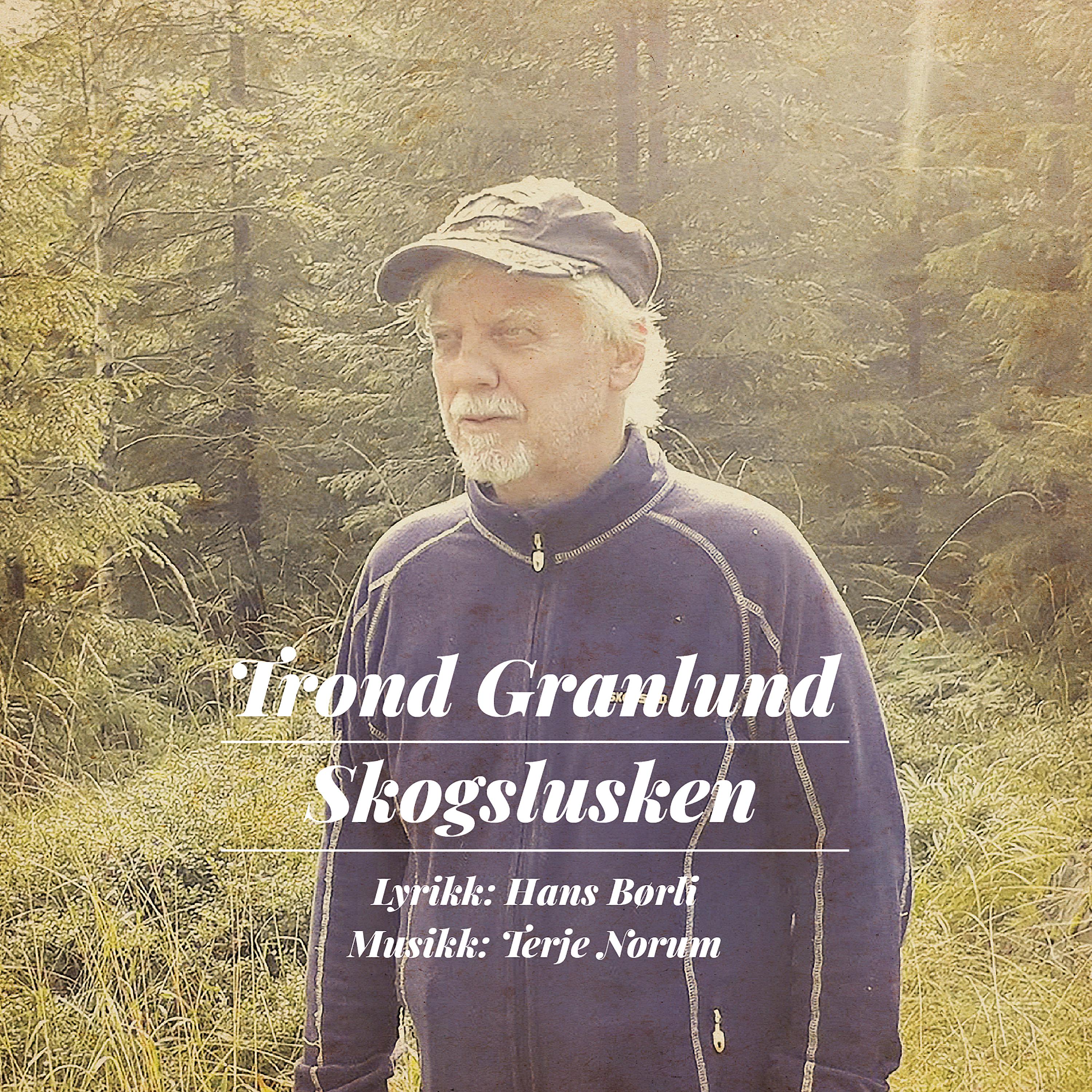 Постер альбома Skogslusken