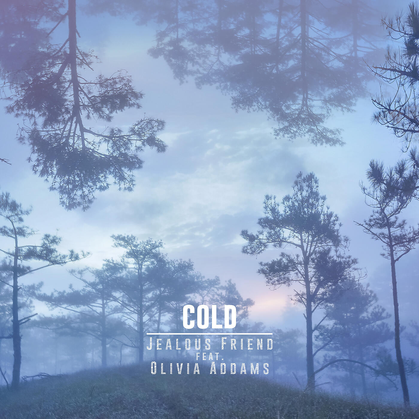 Jealous Friend - Cold
