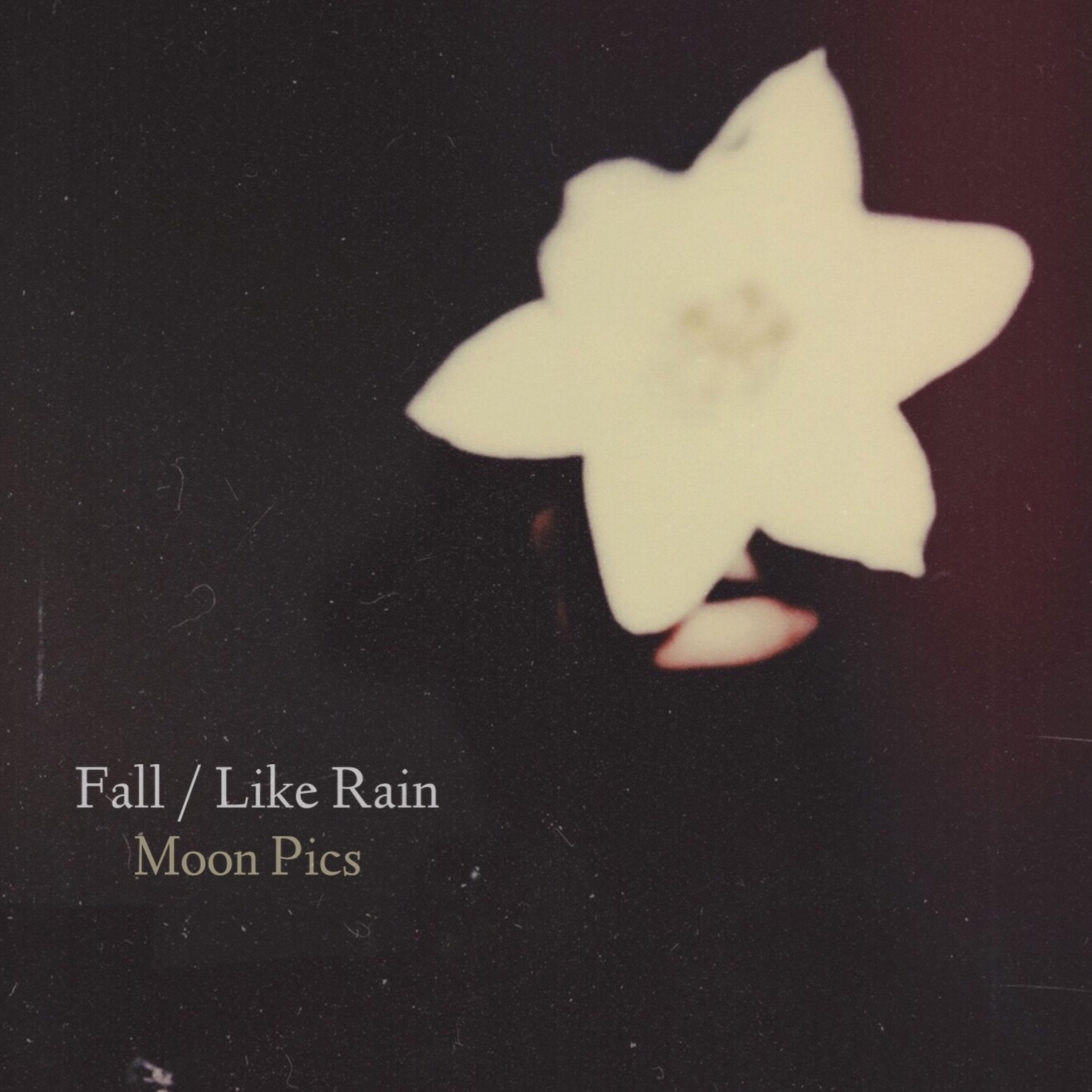 Постер альбома Fall / Like Rain