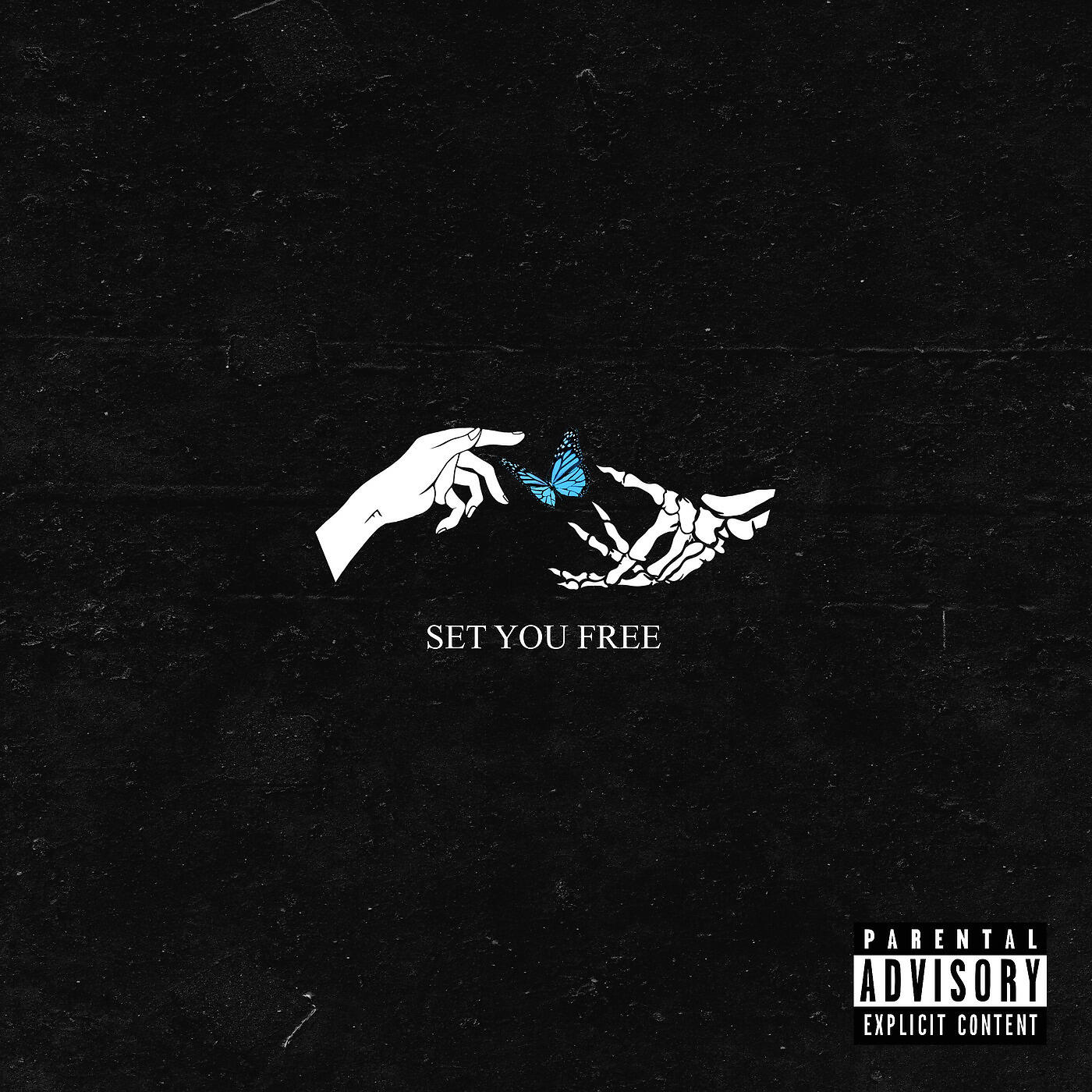 Phora - Set You Free