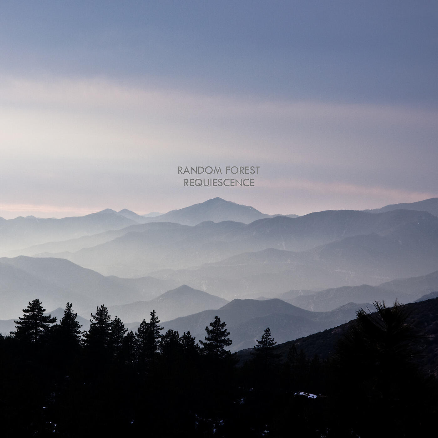 Random Forest - Requiem for a Fallen Tree