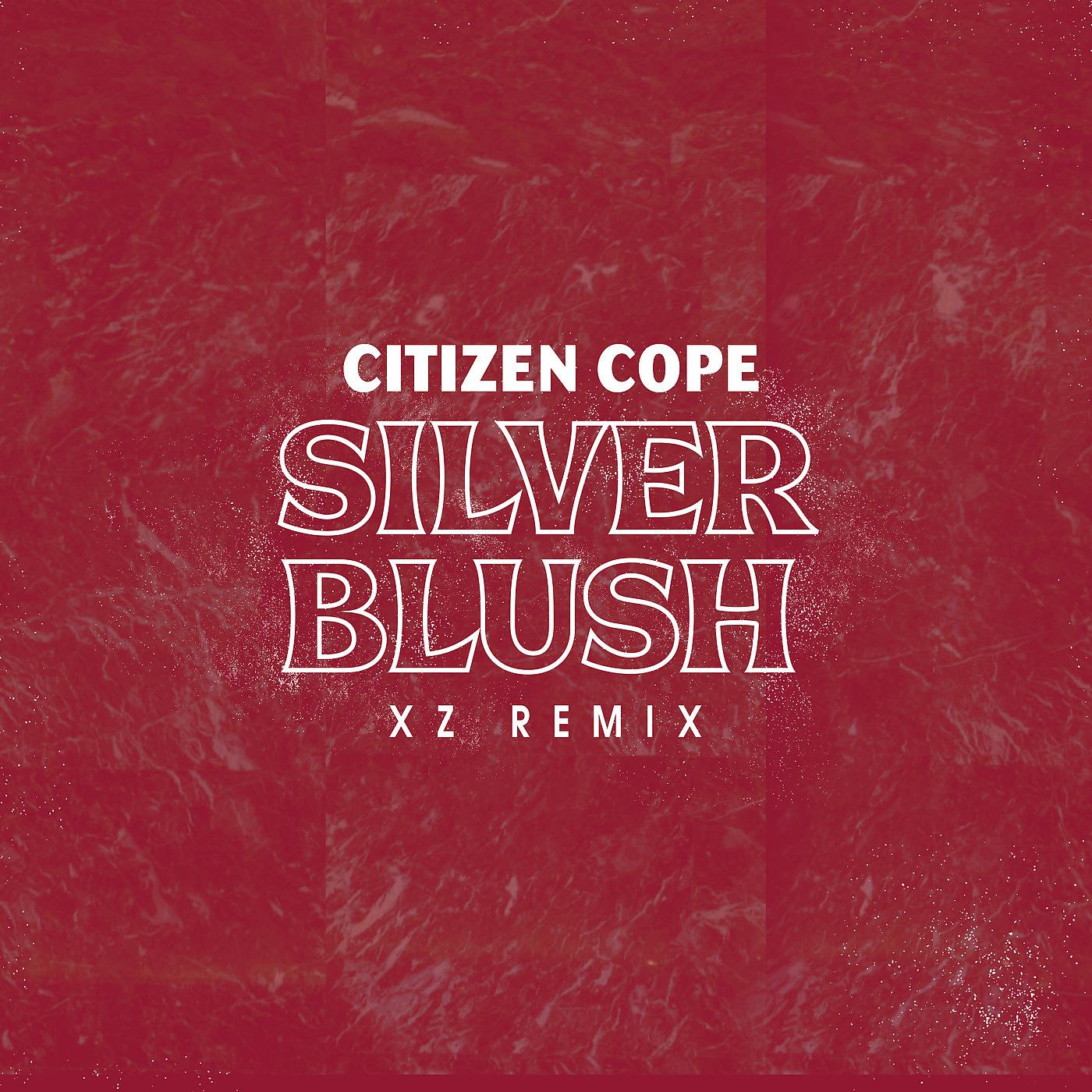 Постер альбома Silver Blush (XZ Remix)