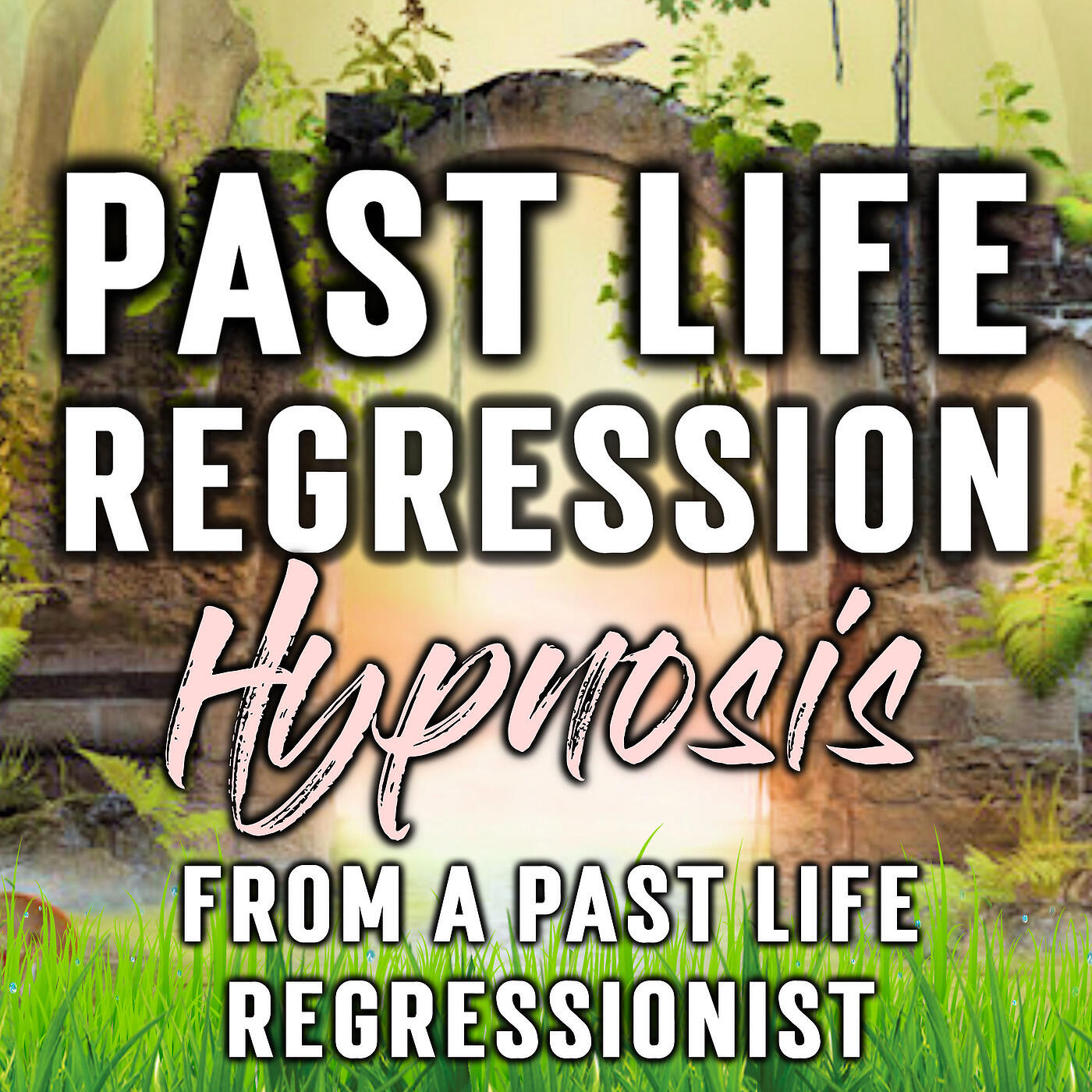 Nicky Sutton - Past Life Regression Hypnosis from a Past Life Regressionist
