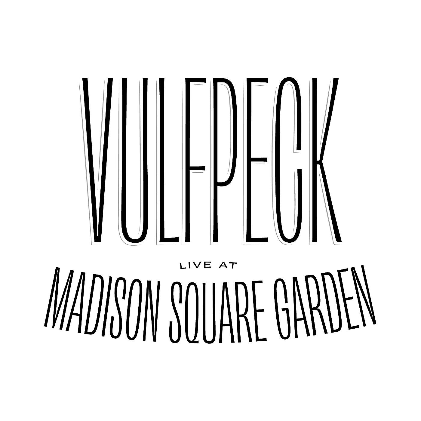 Vulfpeck - Aunt Leslie (Live at Madison Square Garden)