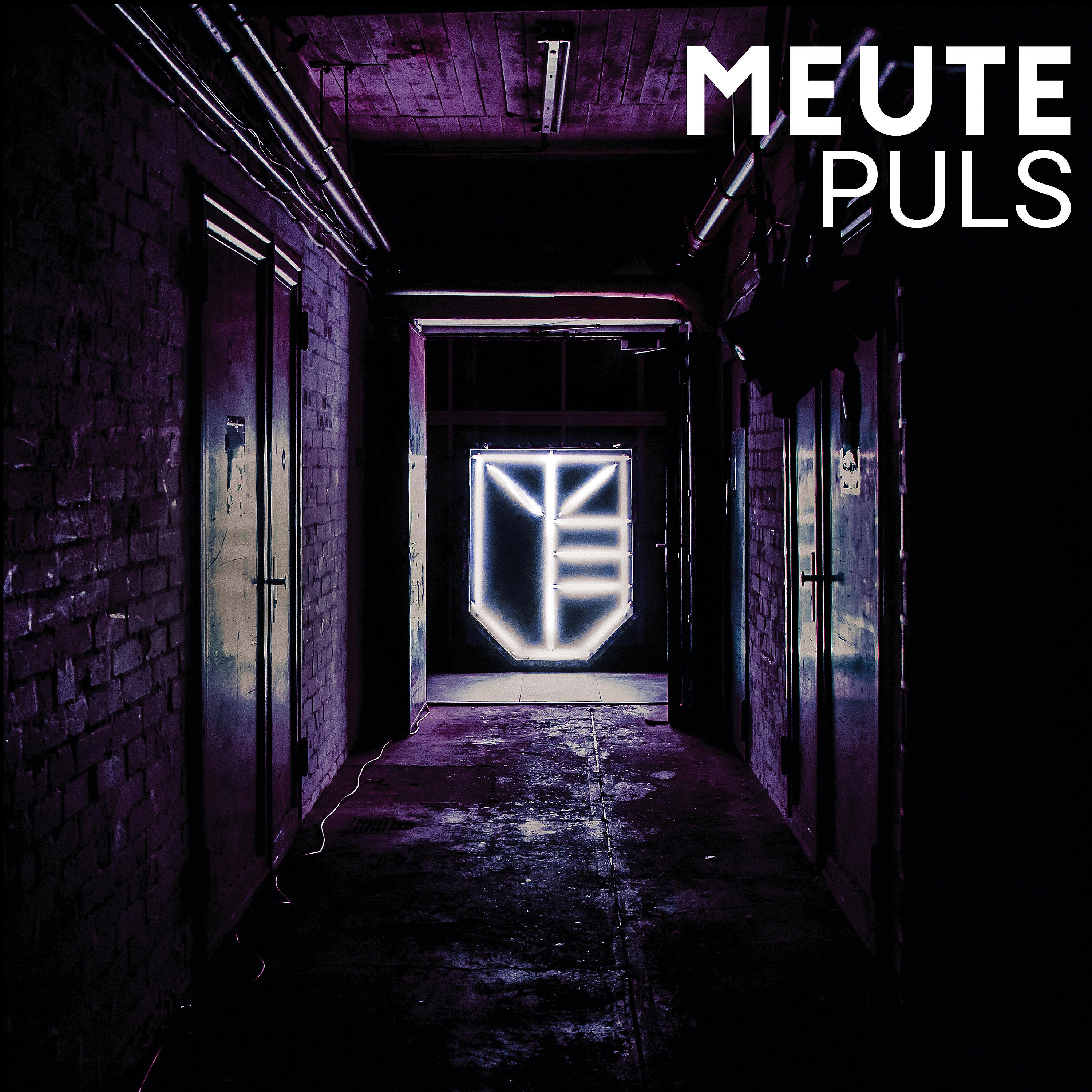 MEUTE - Panda