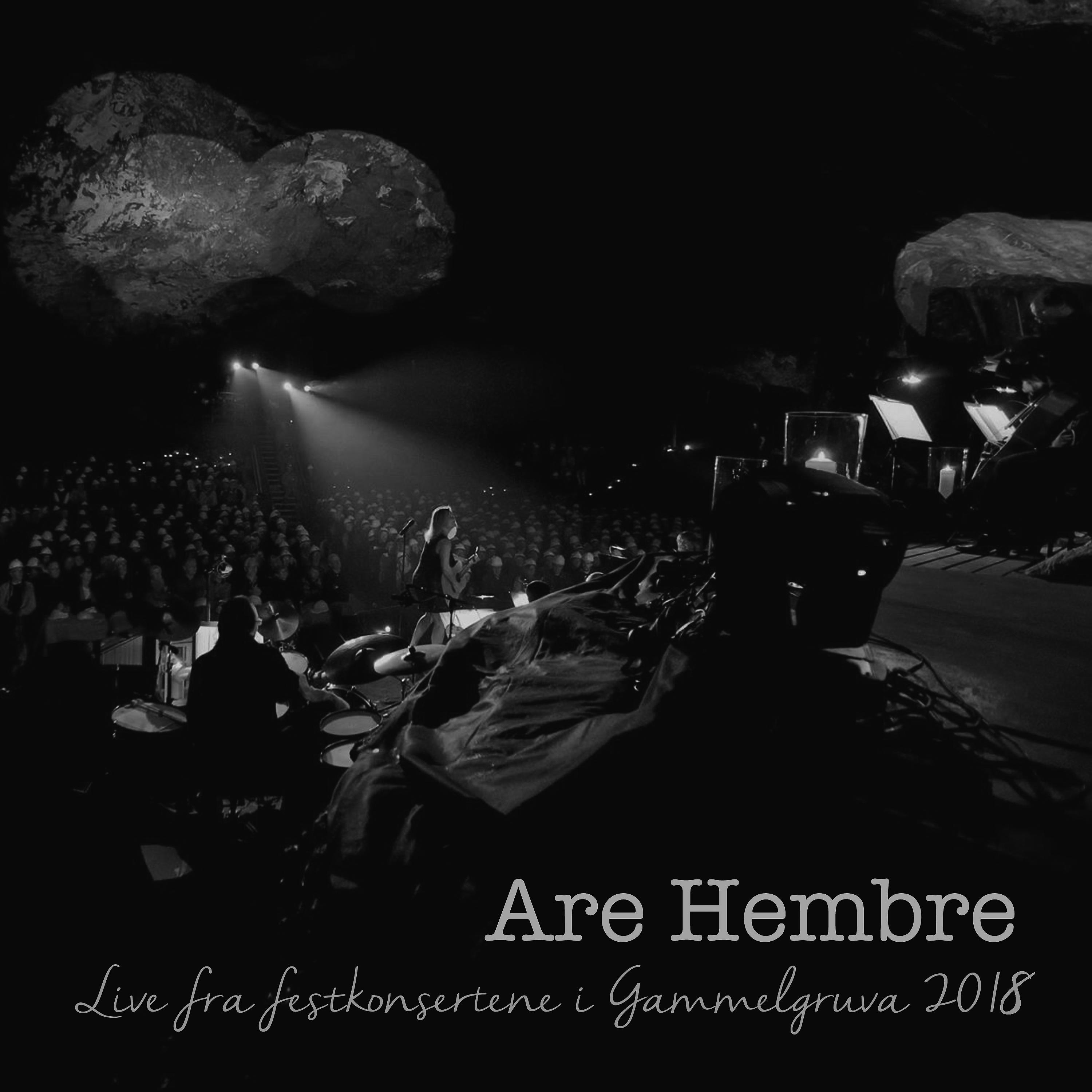 Постер альбома I skyggen av et tårn (Live fra festkonsertene i Gammelgruva 2018)