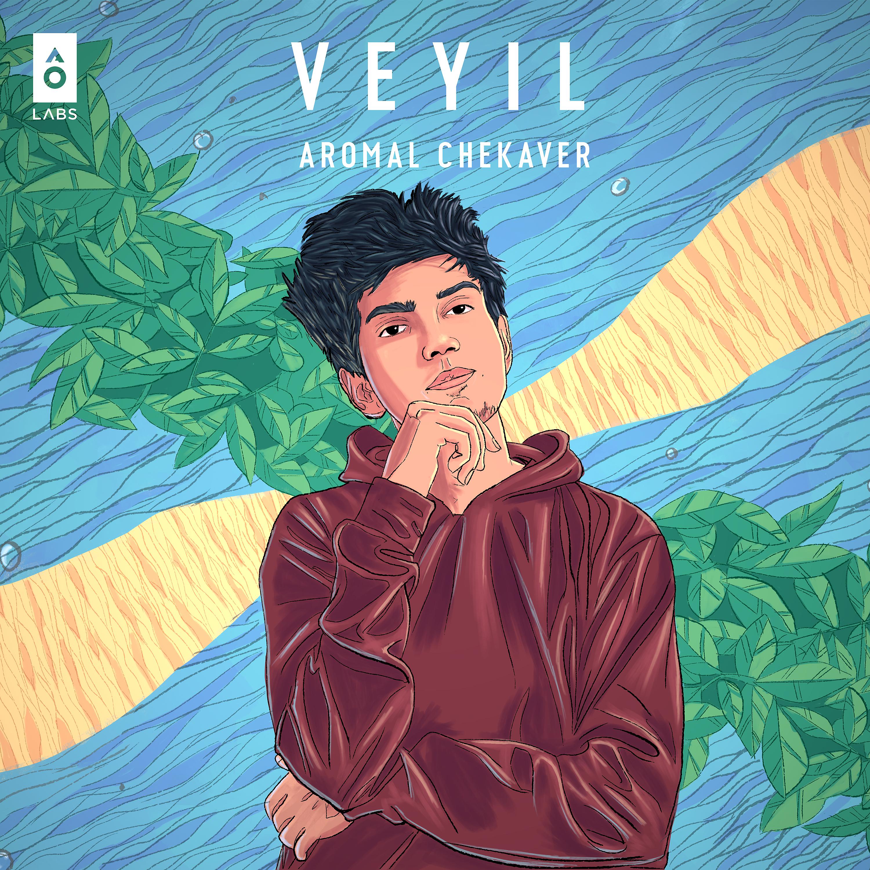 Постер альбома Veyil