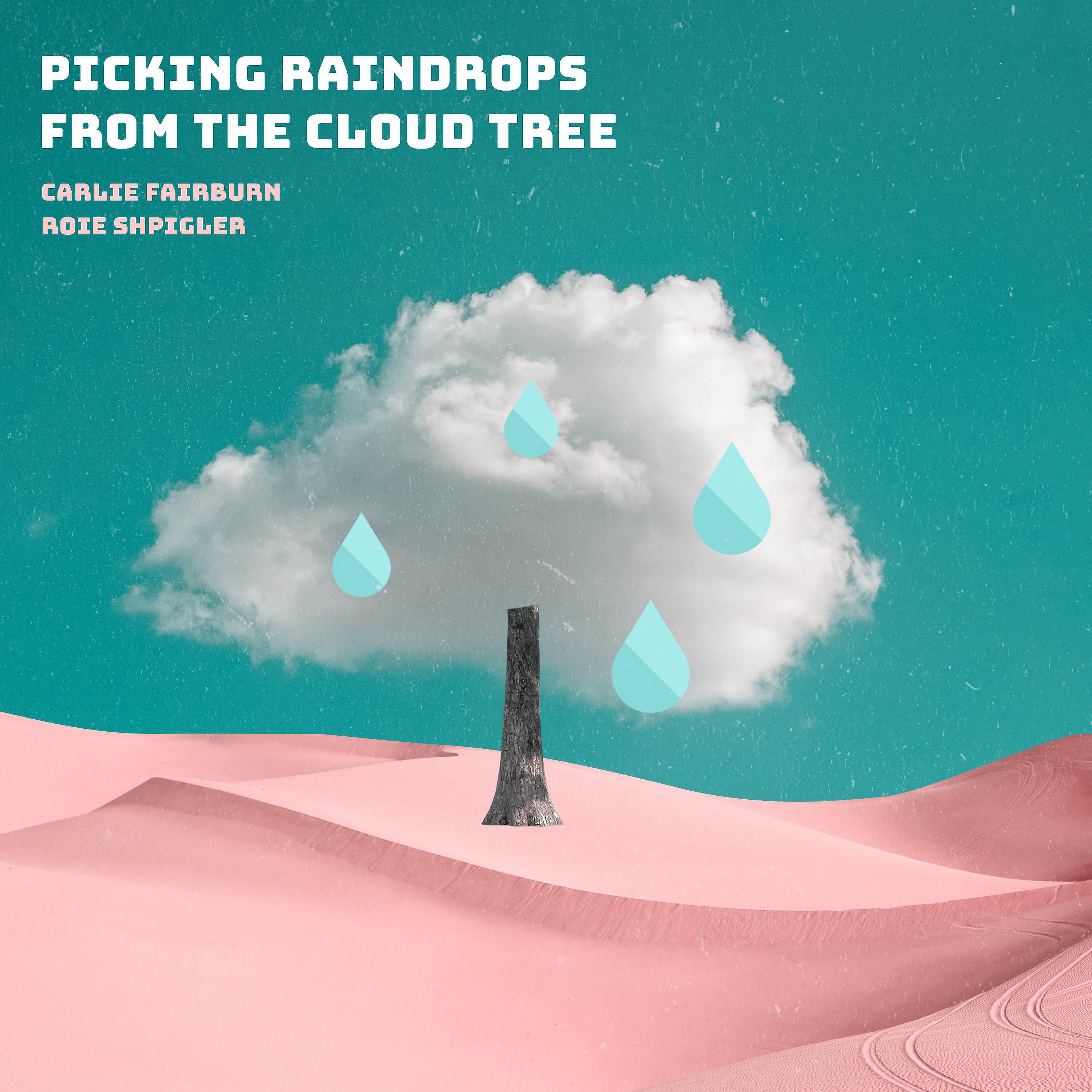 Постер альбома Picking Raindrops from the Cloud Tree