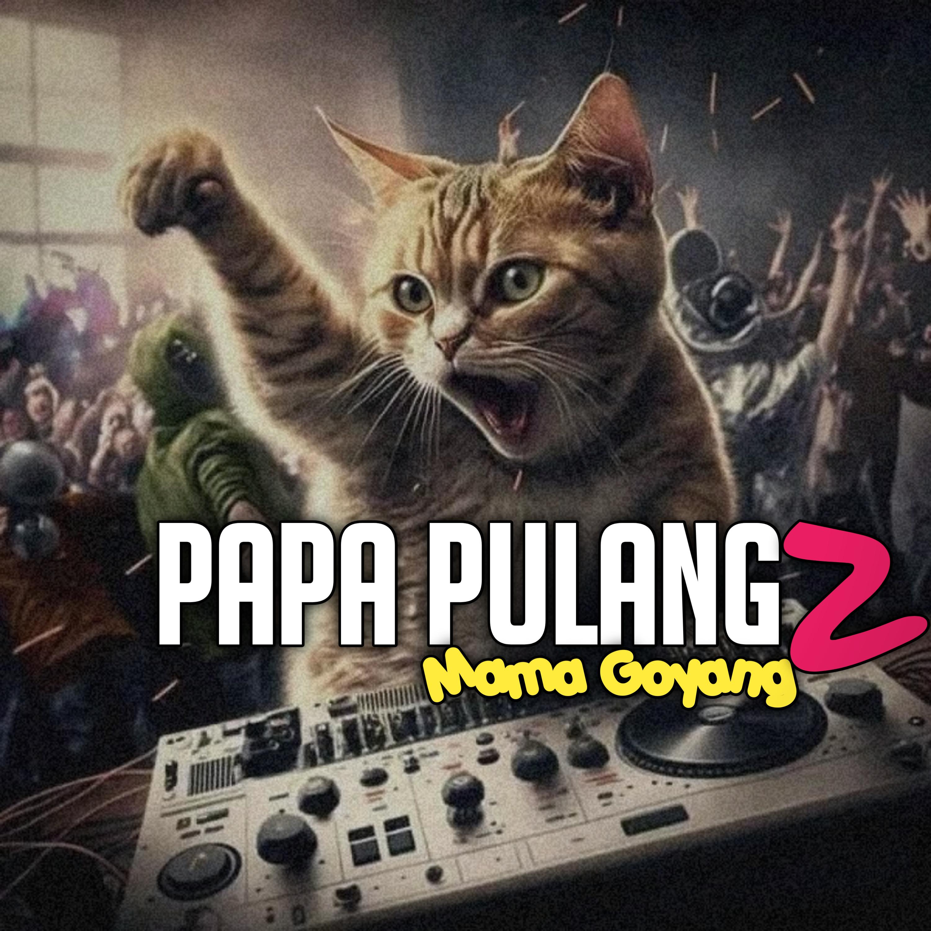 Постер альбома Papa Pulang Mama Goyang 2