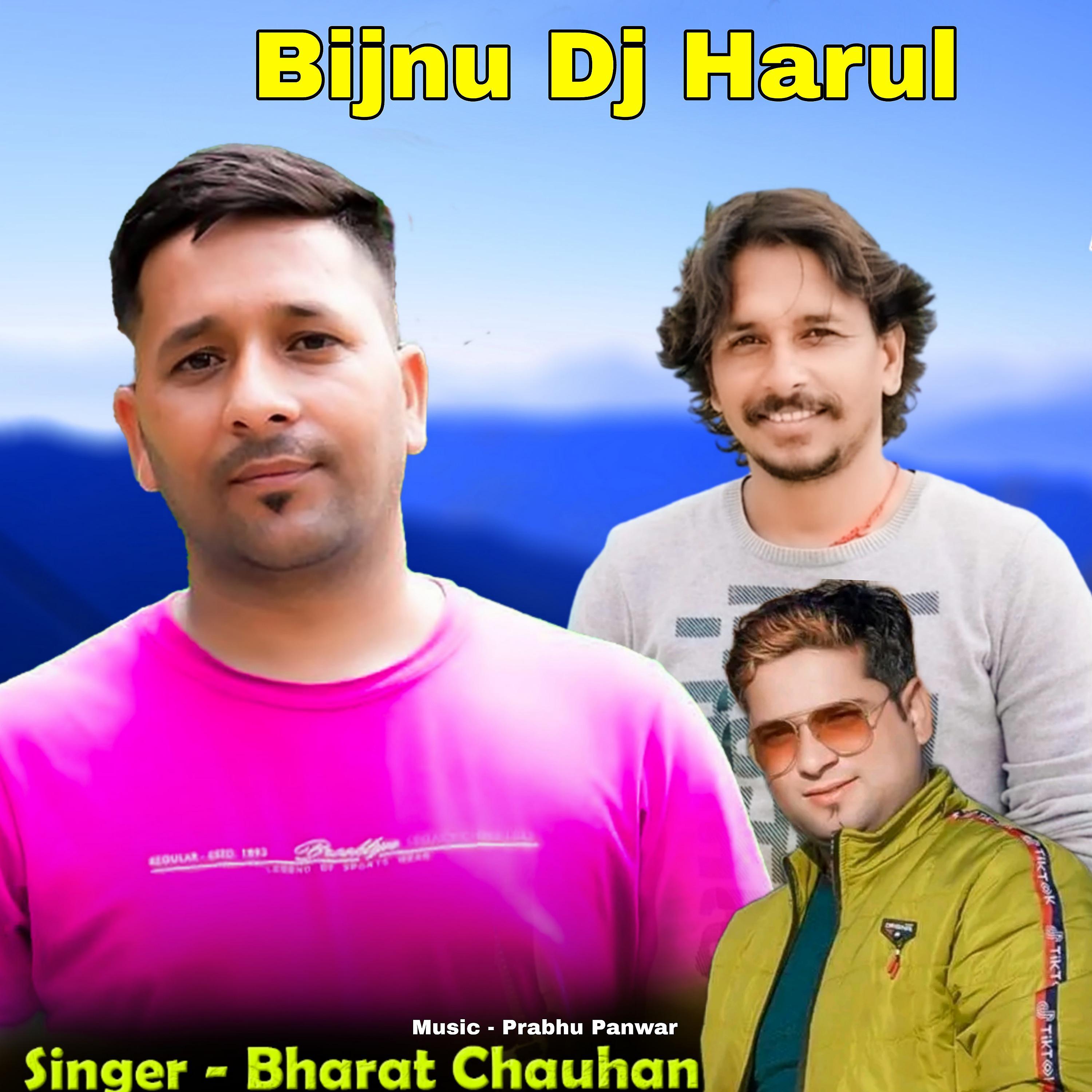 Постер альбома Bijnu Dj Harul