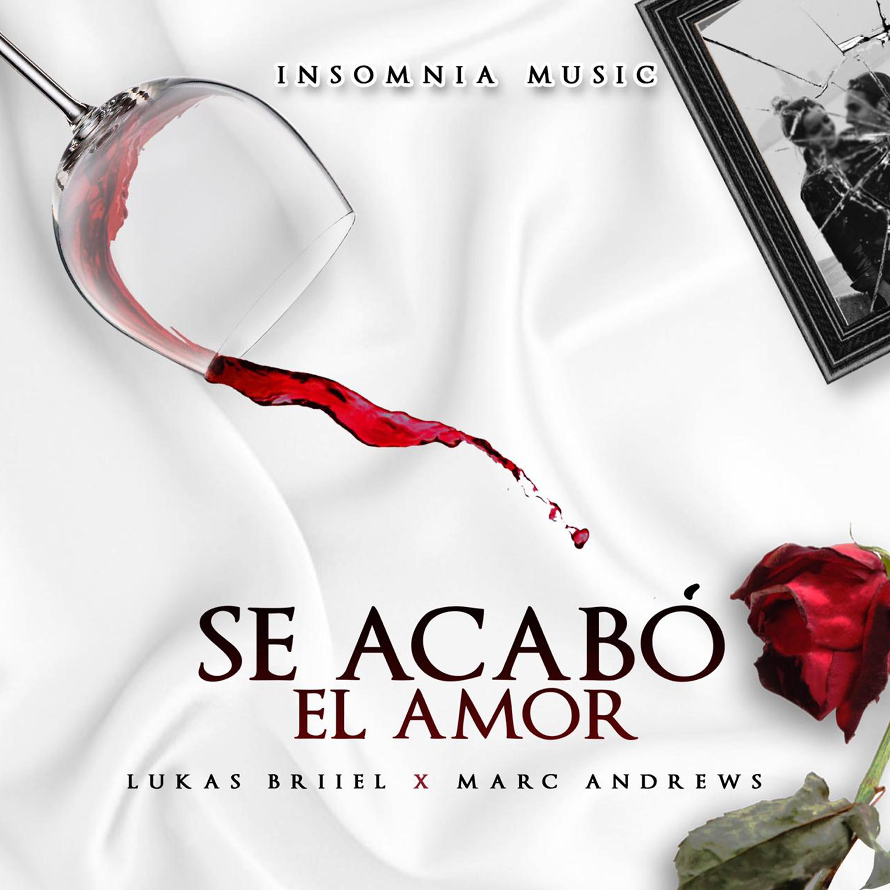Постер альбома Se Acabo el Amor