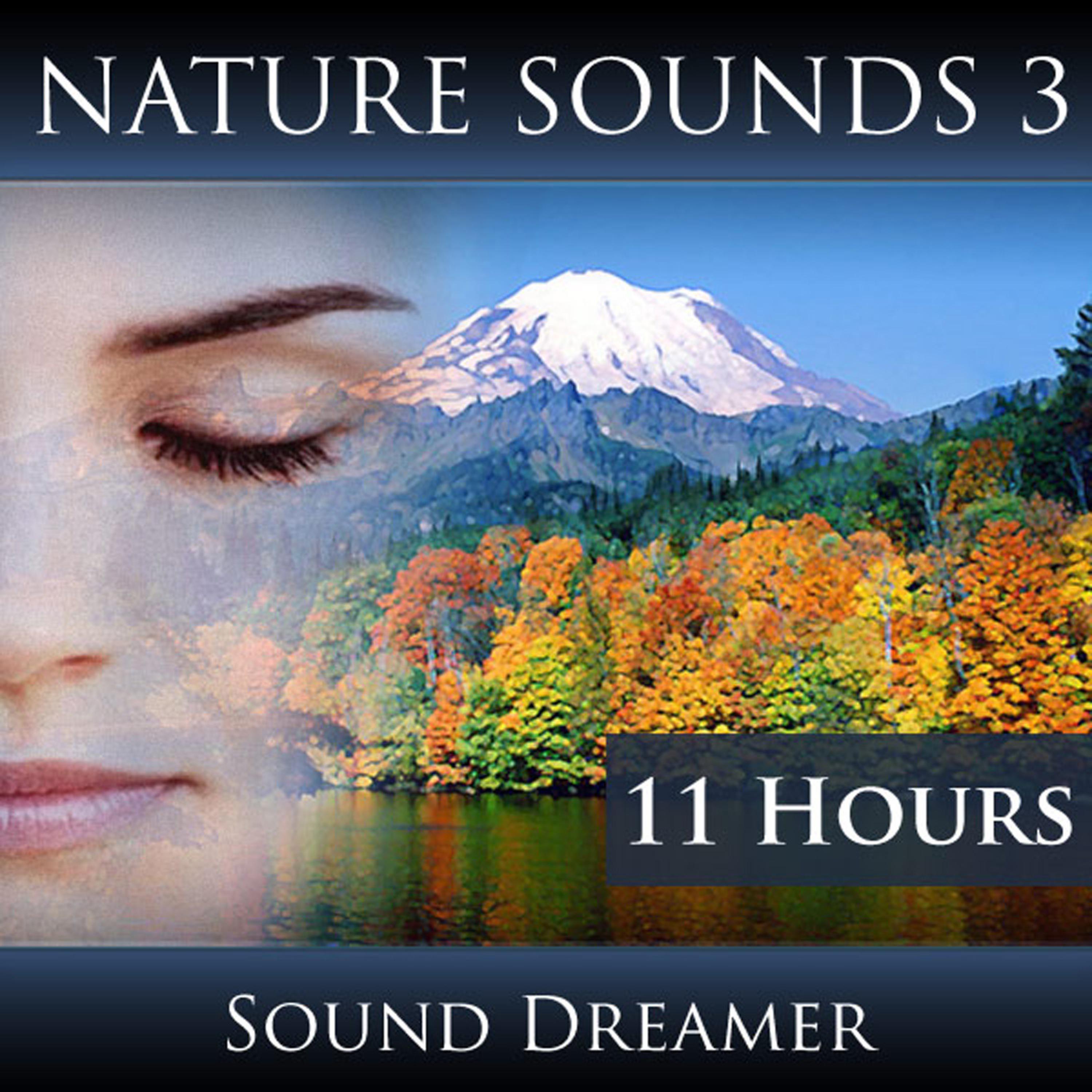 Постер альбома Nature Sounds 3 - 11 Hours