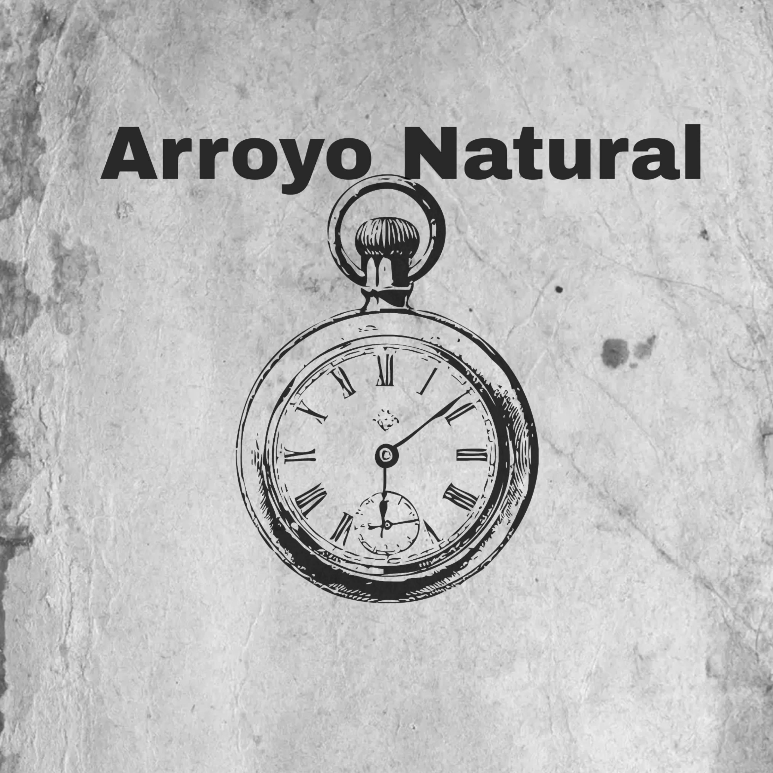Постер альбома Arroyo Natural