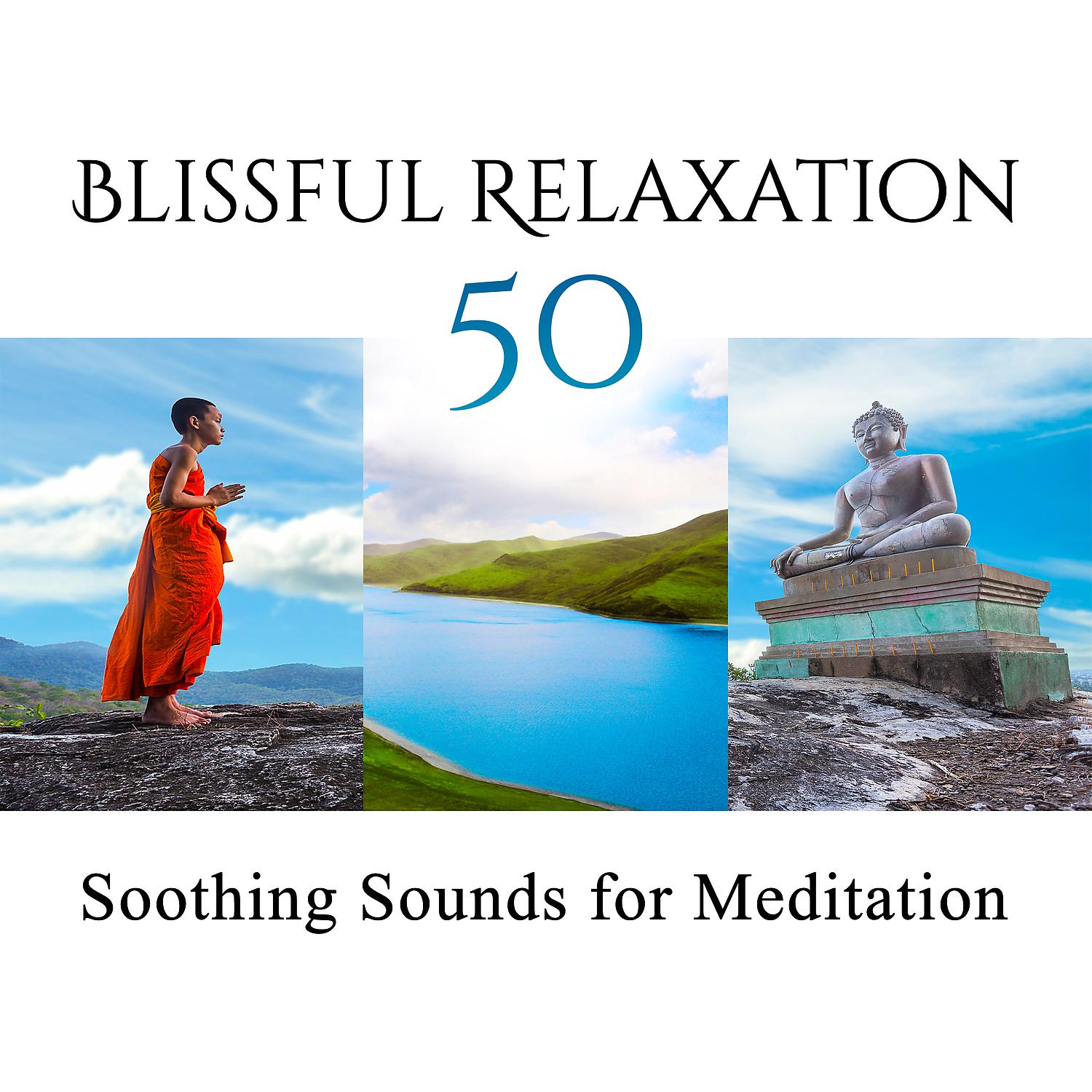 Постер альбома Blissful Relaxation: 50 Soothing Sounds for Meditation, Tibetan Mantras, Mindfulness Training, Quiet Zen Moments, Sounds Therapy for Inner Balance, Healing Ocean Waves
