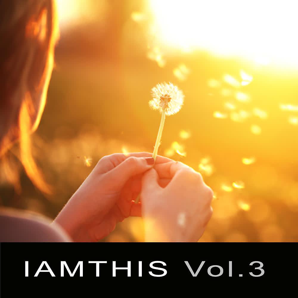 Постер альбома Iamthis (Vol. 3)