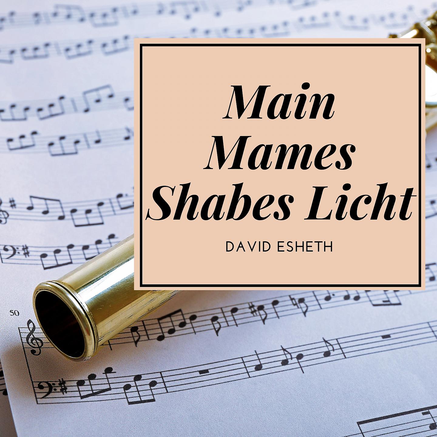 Постер альбома Main Mames Shabes Licht