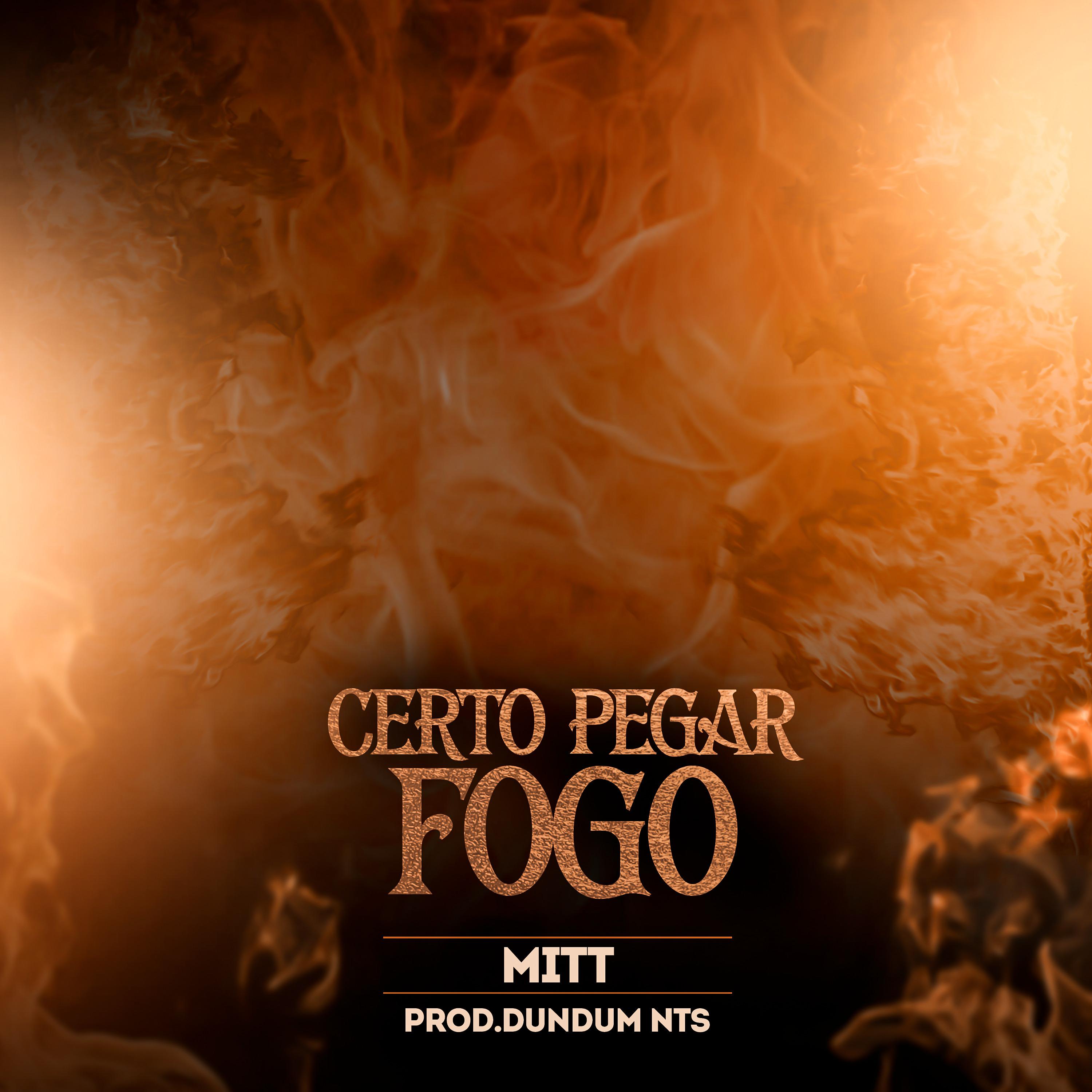 Постер альбома Certo Pegar Fogo