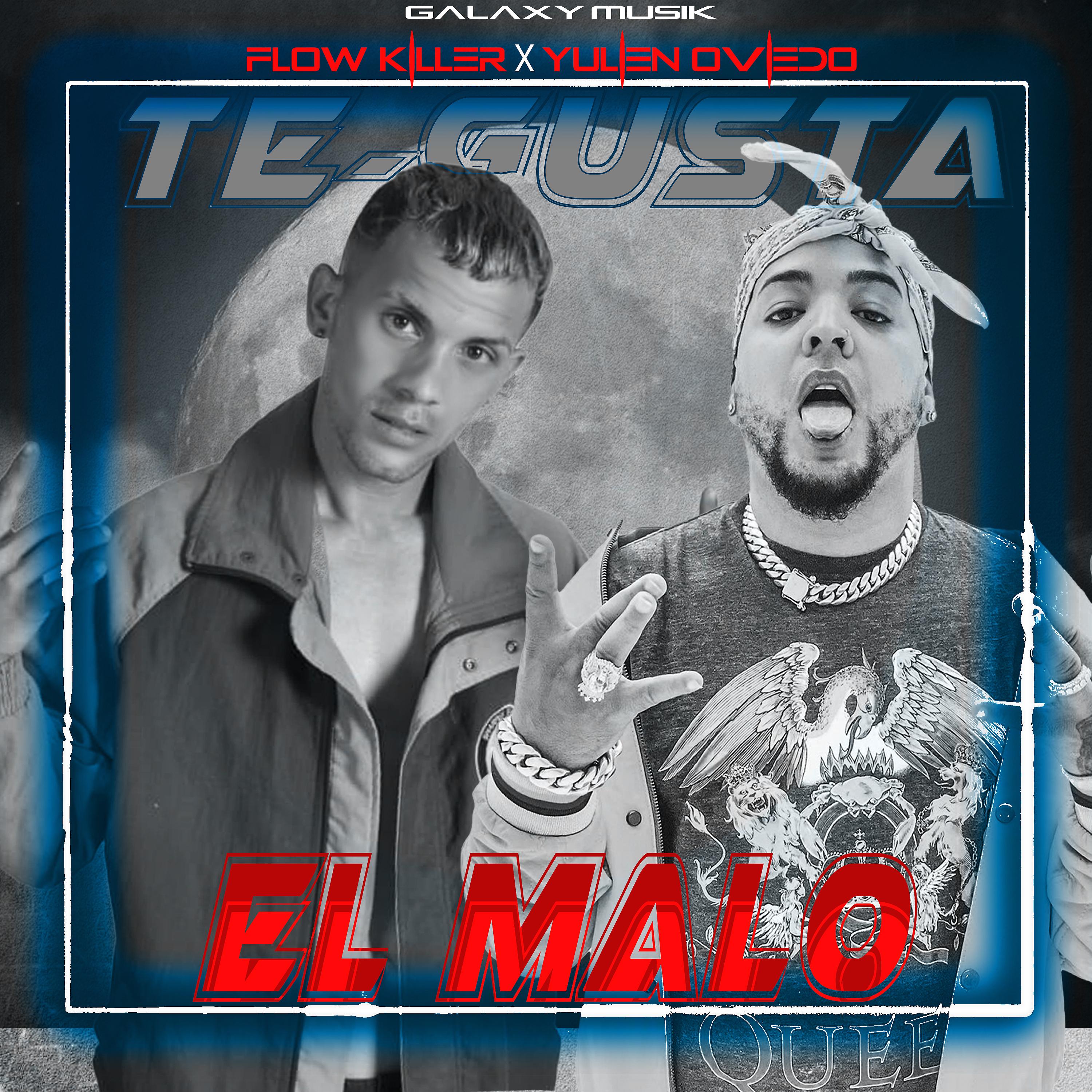 Постер альбома Te Gusta el Malo
