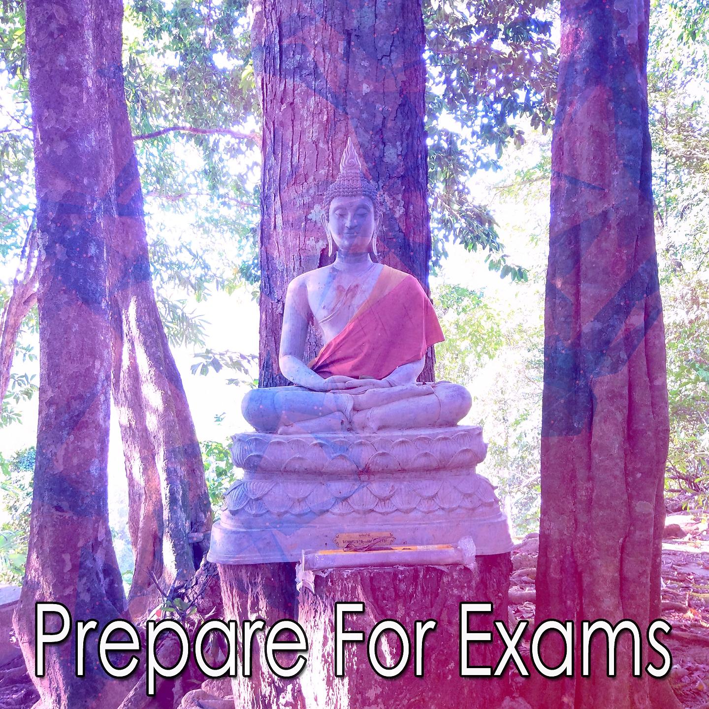 Постер альбома Prepare For Exams