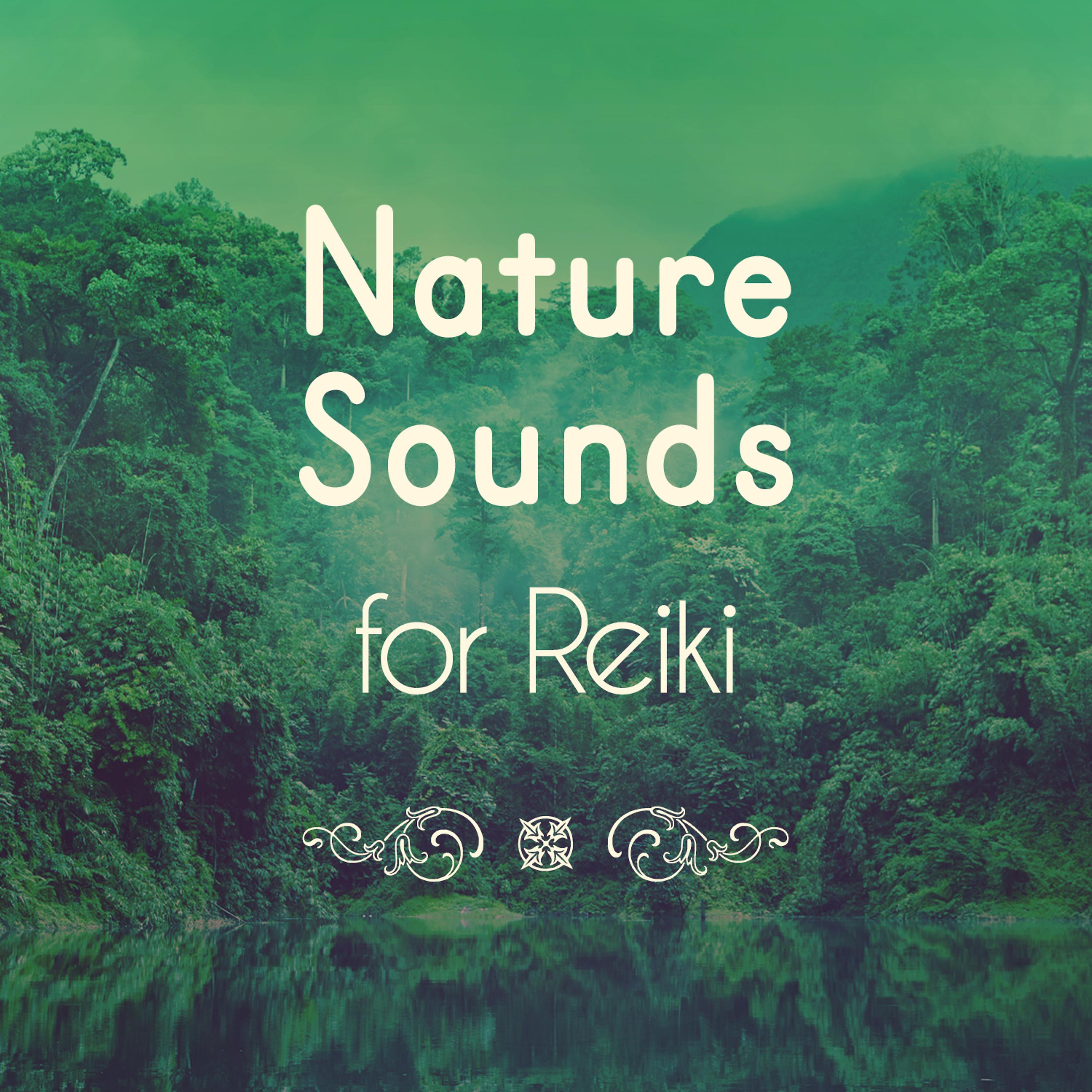 Постер альбома Nature Sounds for Reiki