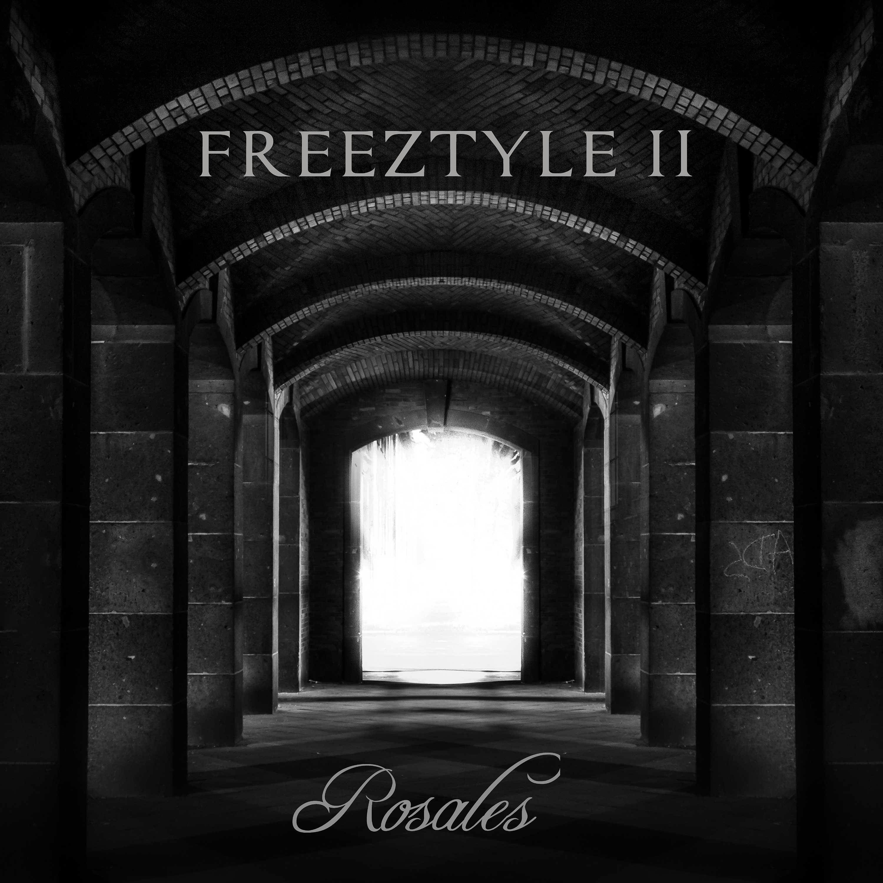 Постер альбома Freeztyle II