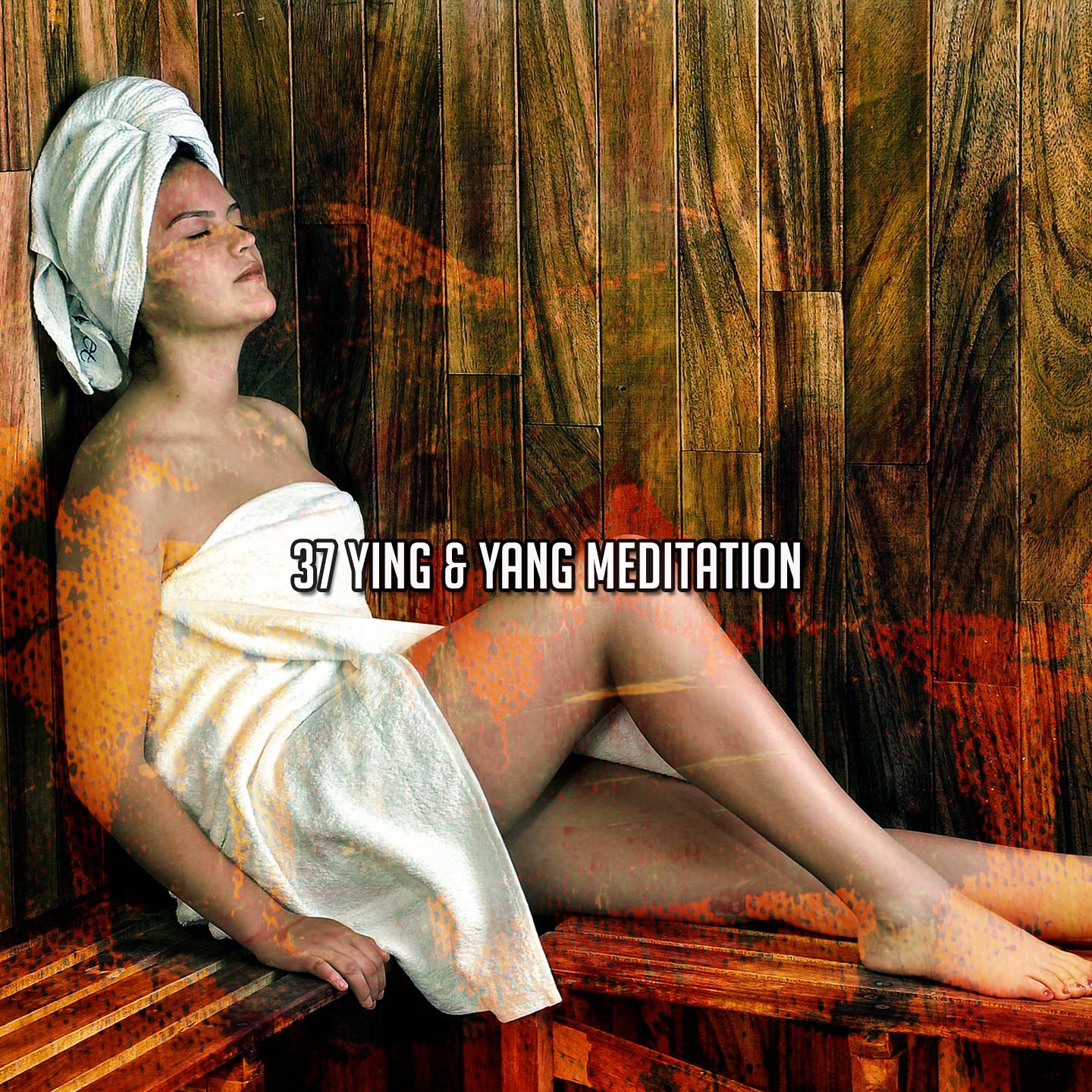 Постер альбома 37 Ying & Yang Meditation