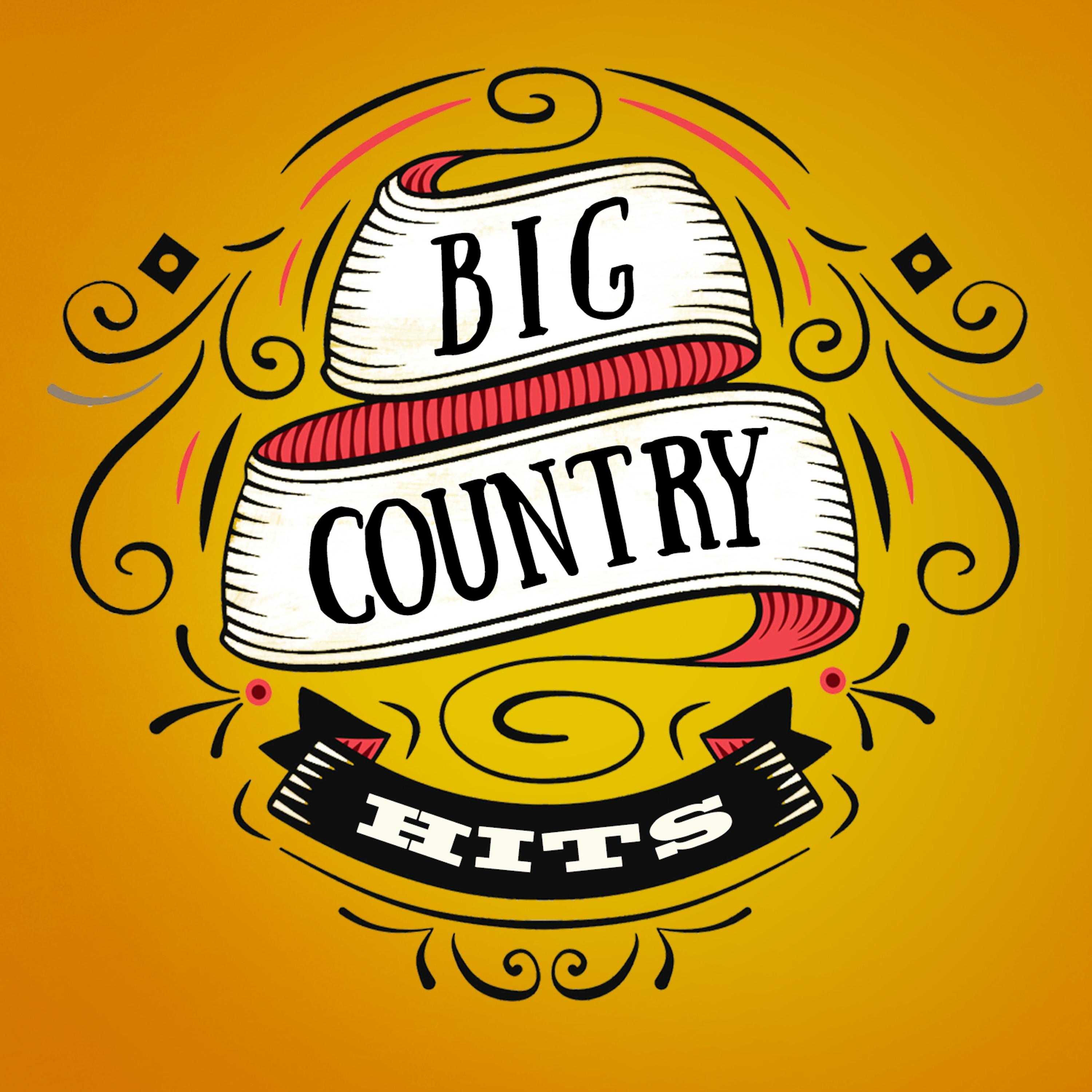 Постер альбома Big Country Hits