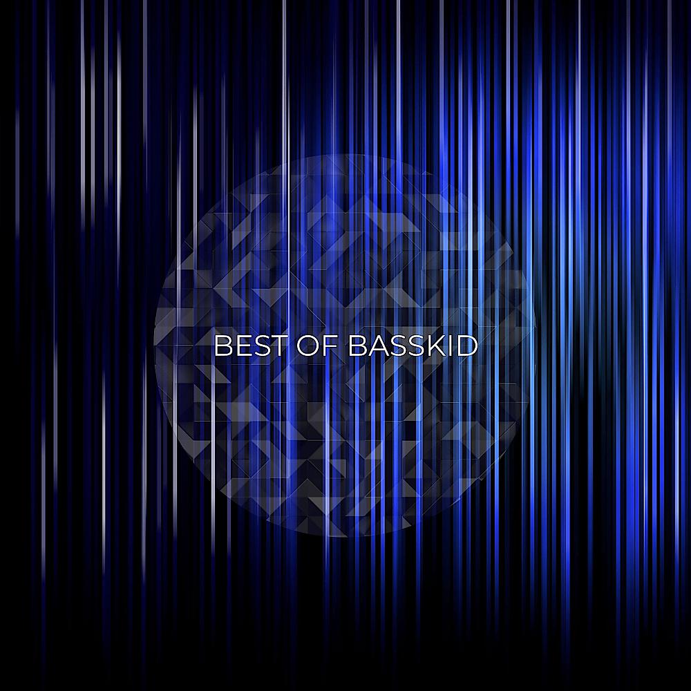 Постер альбома Best Of Basskid
