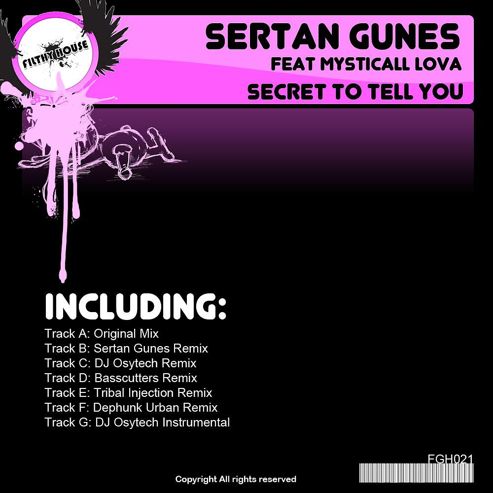 Постер альбома Secret To Tell You