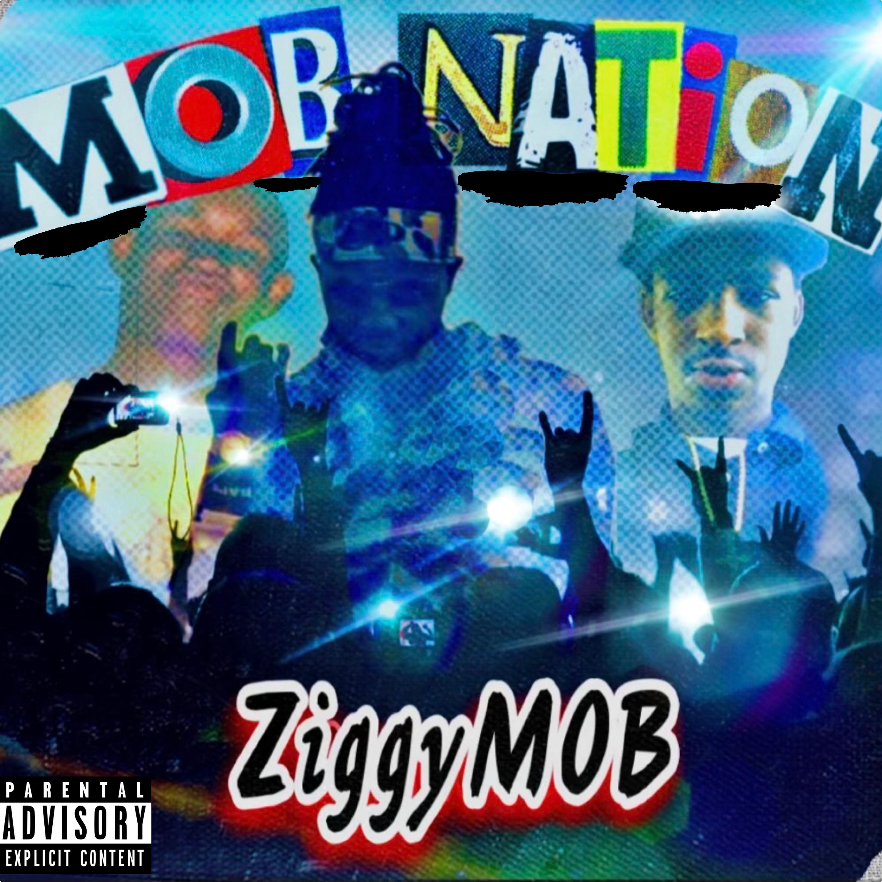 Постер альбома Mob Nation