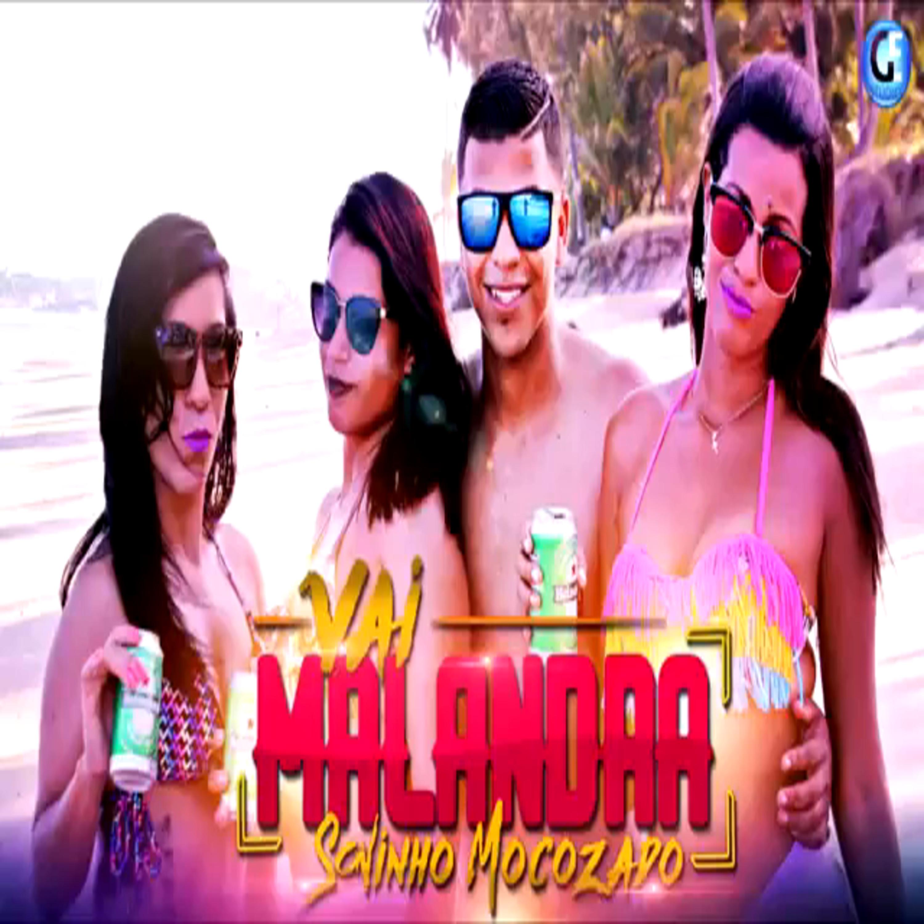 Постер альбома Vai Malandra