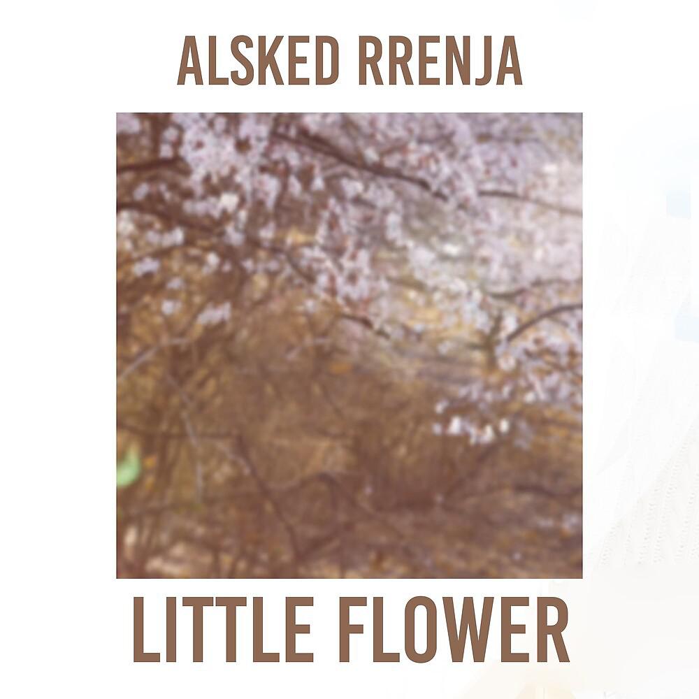 Постер альбома Little Flower