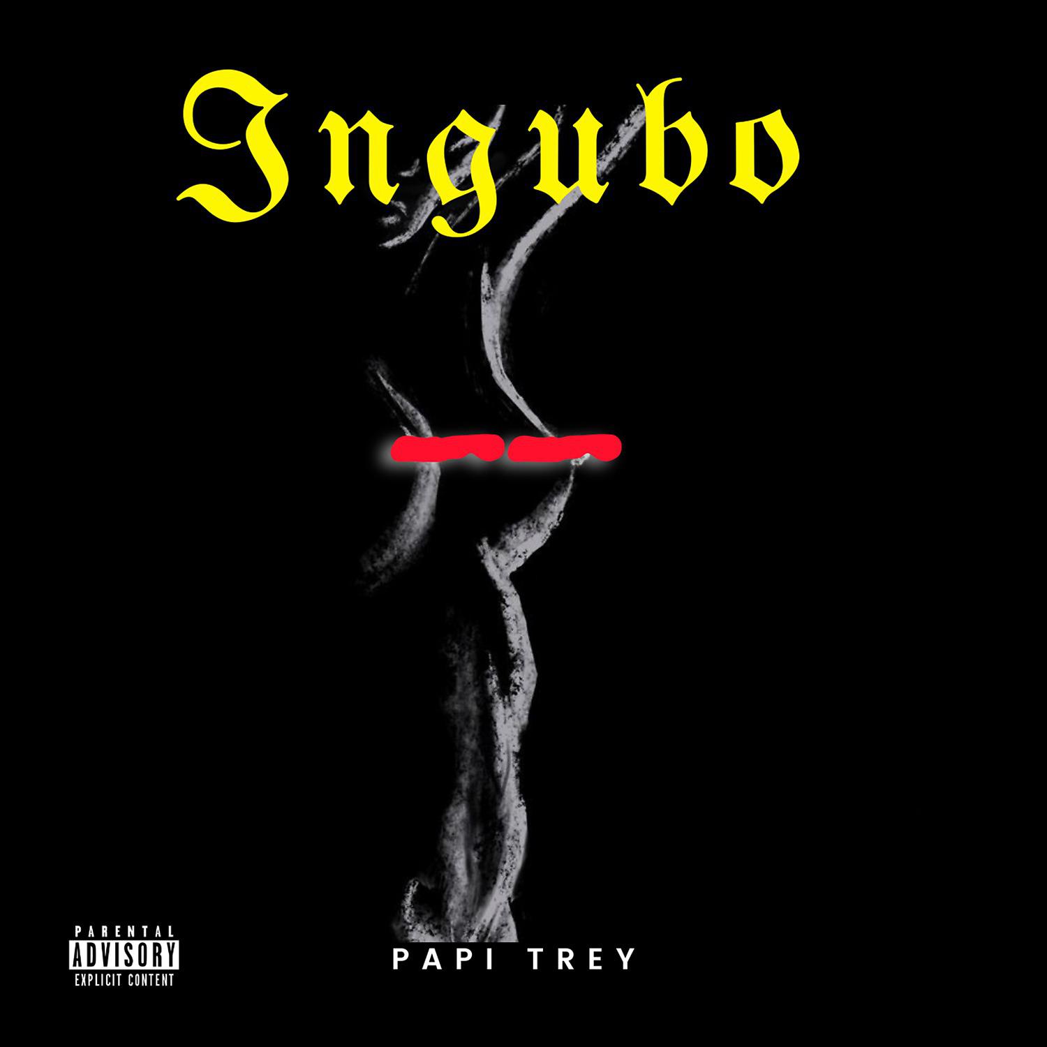 Постер альбома Ingubo