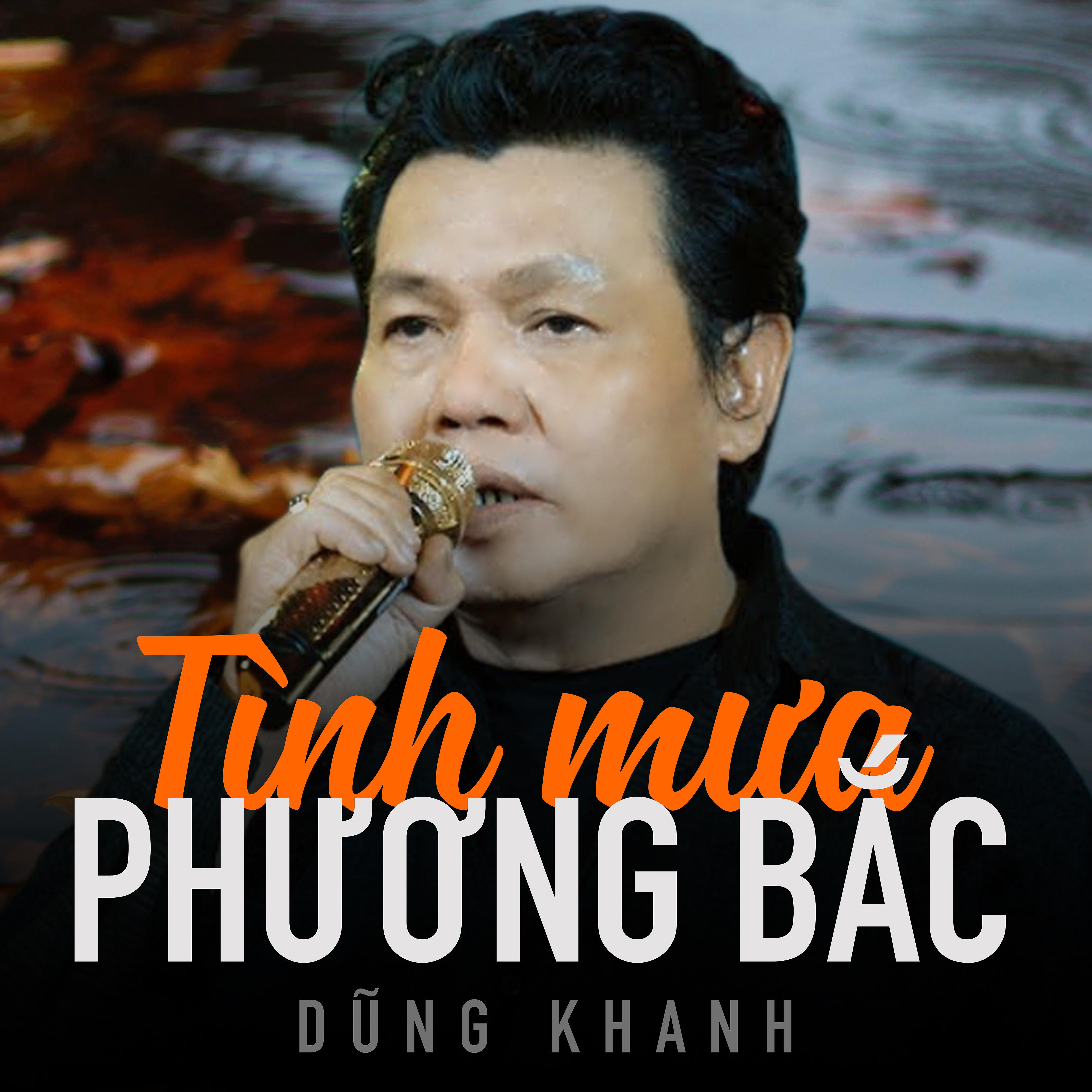 Постер альбома Tình Mưa Phương Bắc