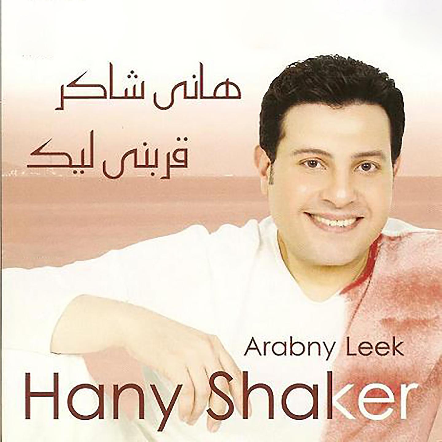Постер альбома Arabny Leek