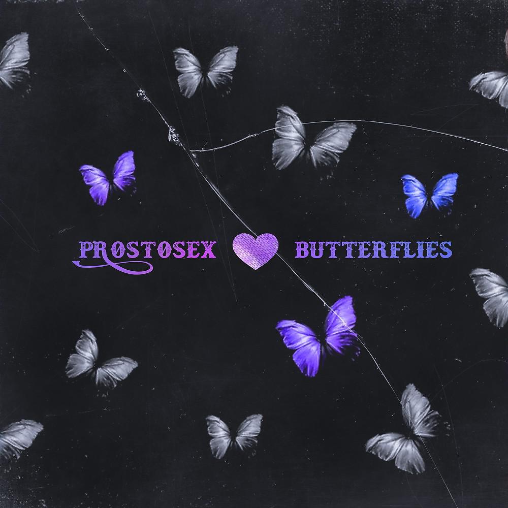 Постер альбома Butterflies (Prod. By Pimp My Ride & blank)