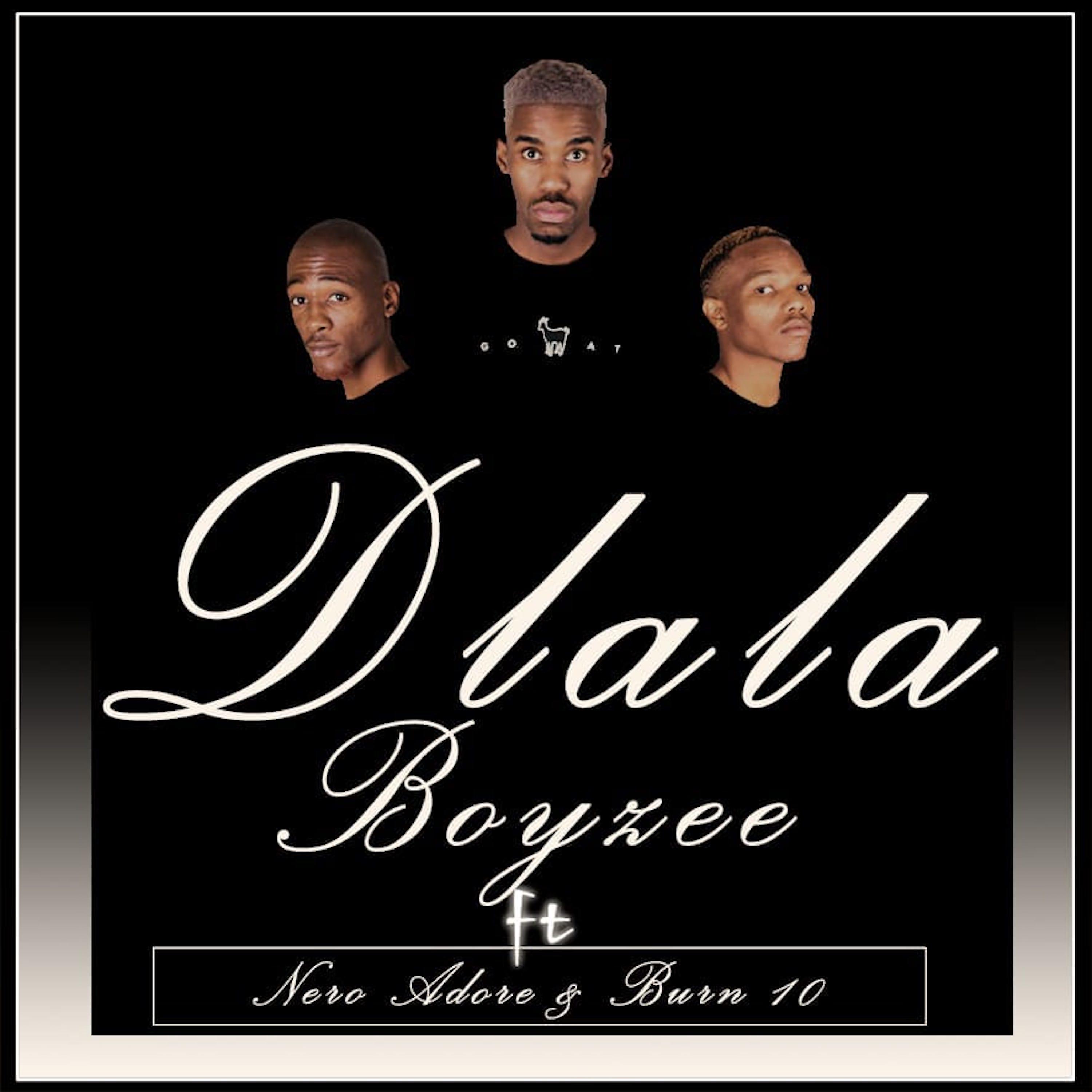 Постер альбома Dlala