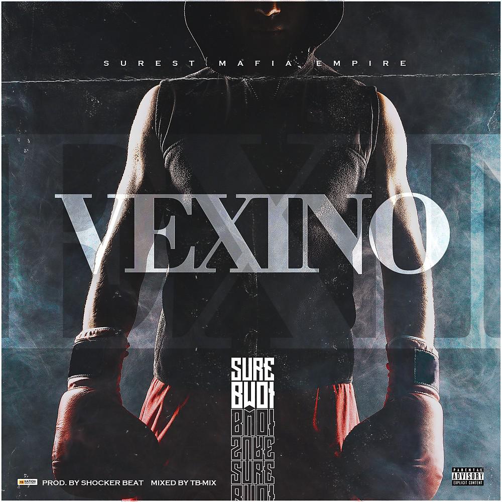Постер альбома Vexino