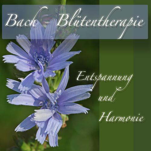 Постер альбома Bach Blütentherapie Entspannung und Harmonie