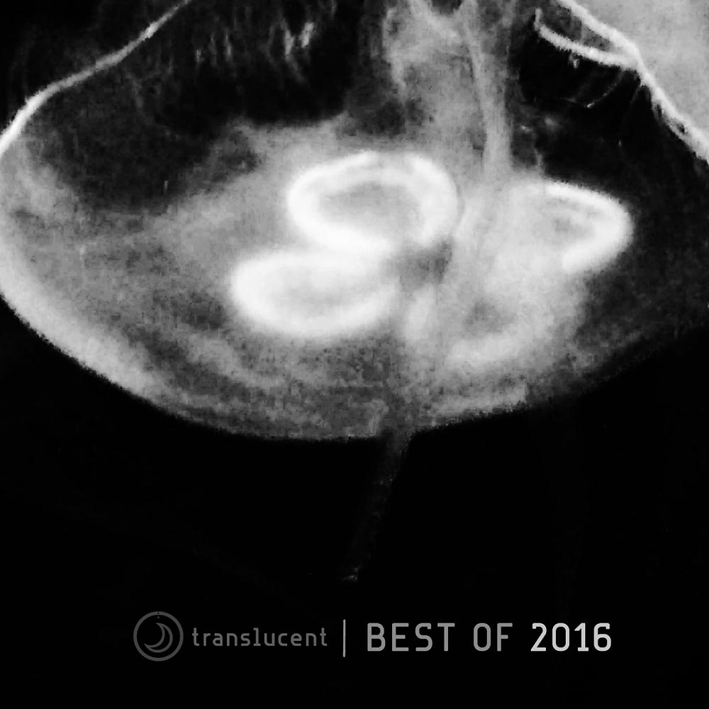Постер альбома Translucent (Best of 2016)
