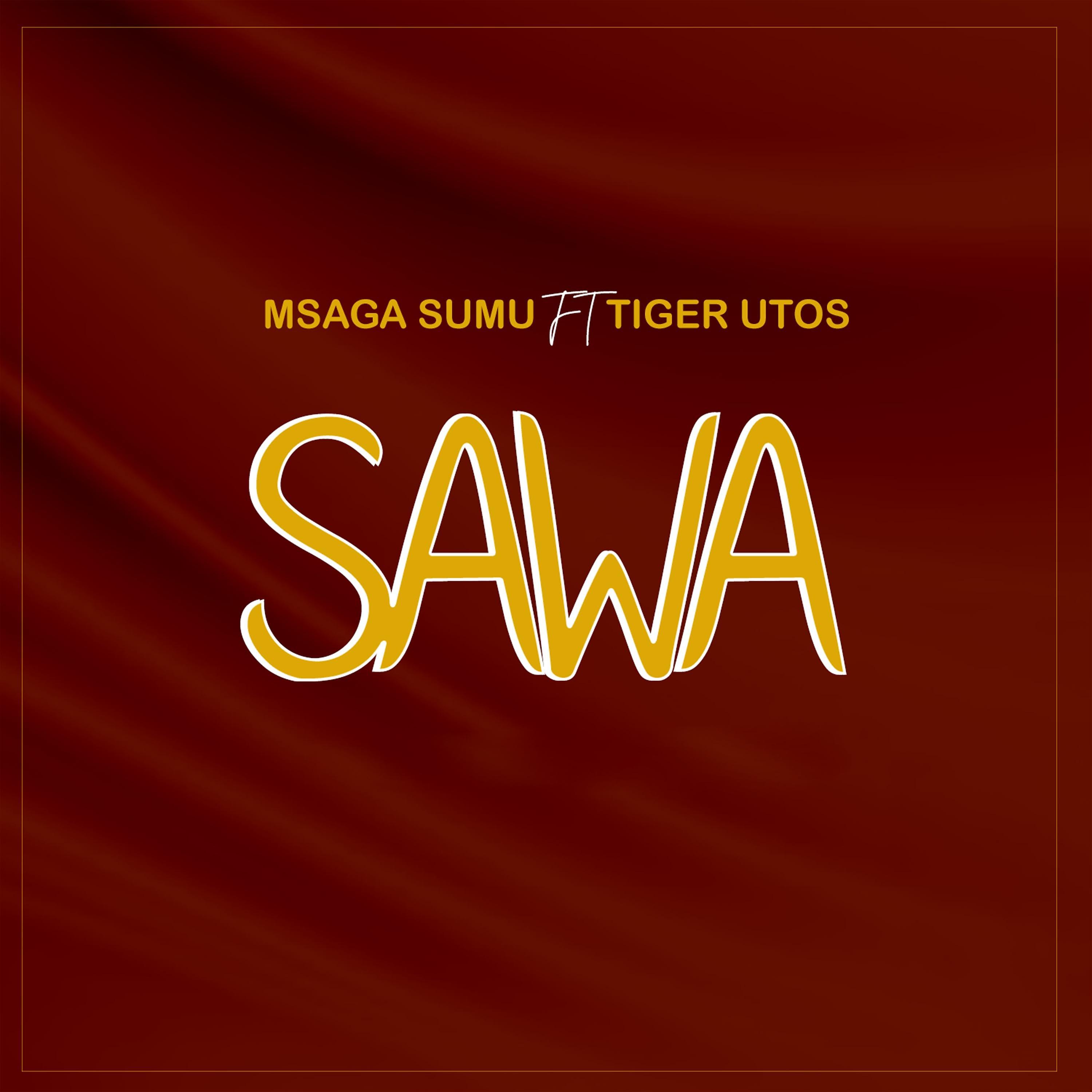 Постер альбома Sawa (feat. Tiger Utosi.)