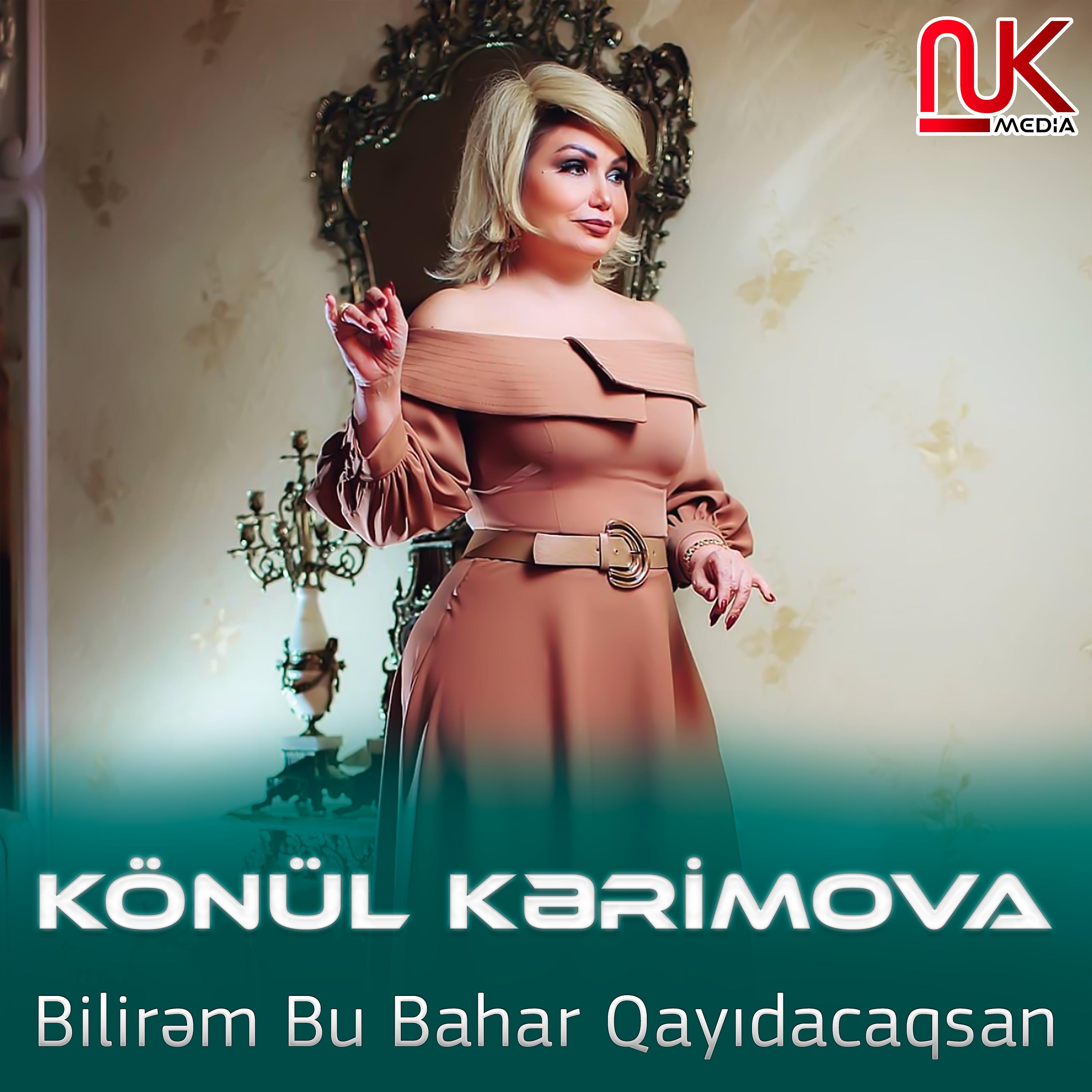 Постер альбома Bilirəm Bu Bahar Qayıdacaqsan