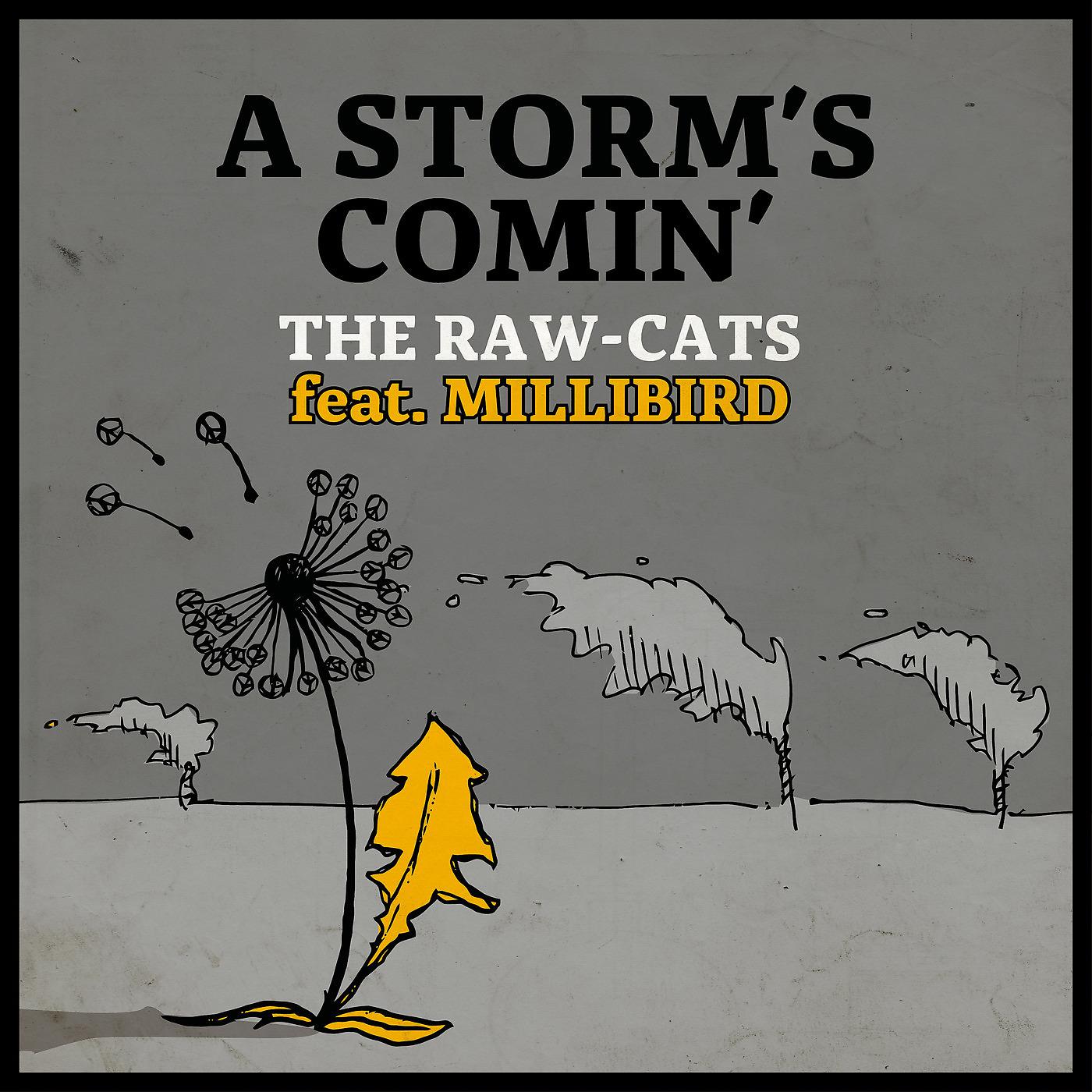 Постер альбома A Storm's Coming