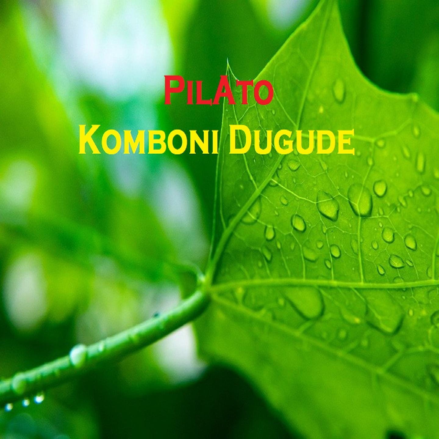 Постер альбома Komboni Dugude