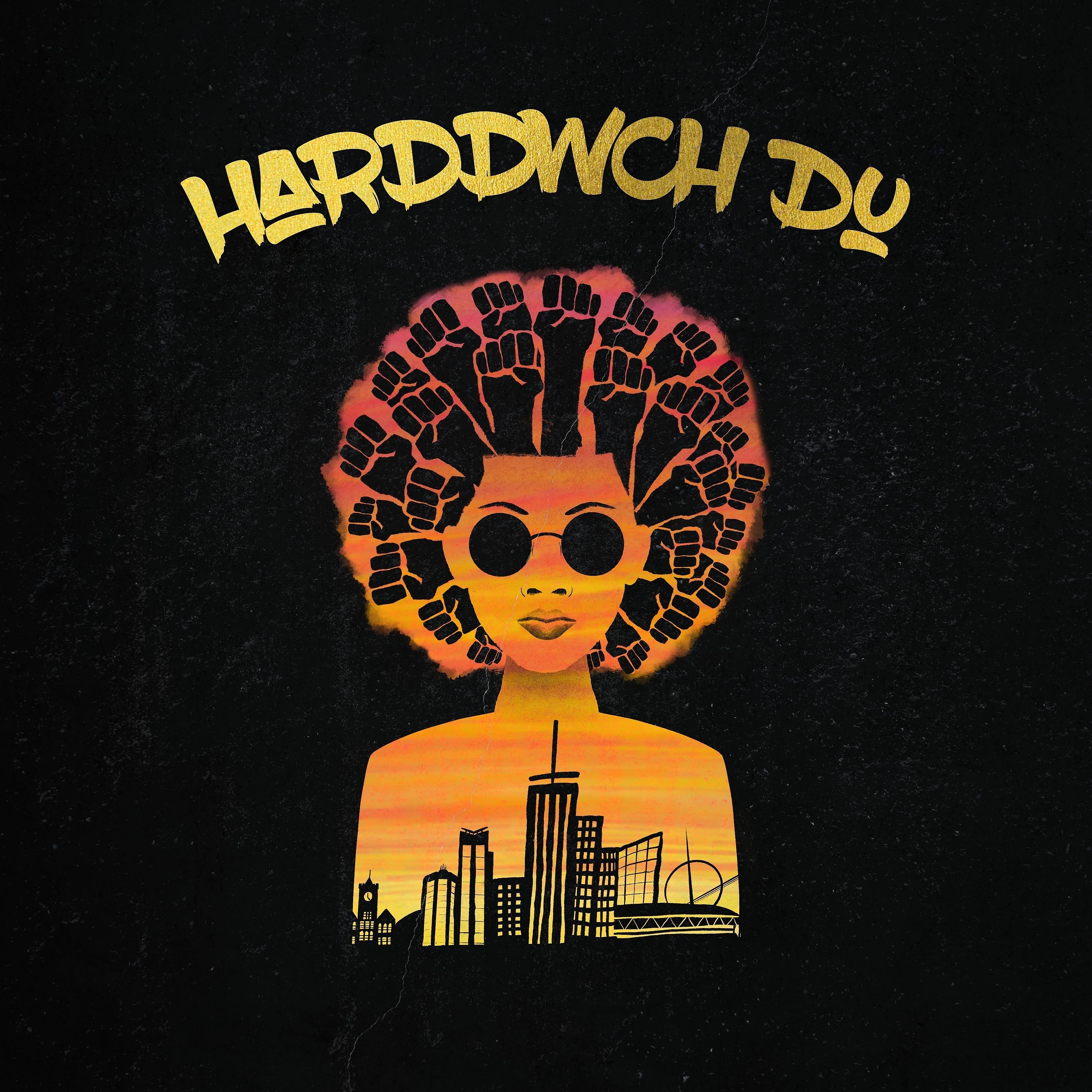 Постер альбома Harddwch Du