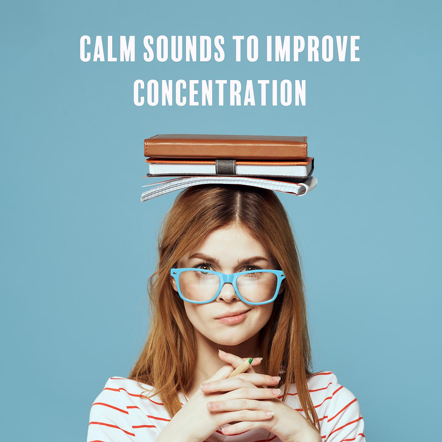 Постер альбома Calm Sounds to Improve Concentration - Effective Way to Study, Brain Stimulation, Soft Music to Keep Focus