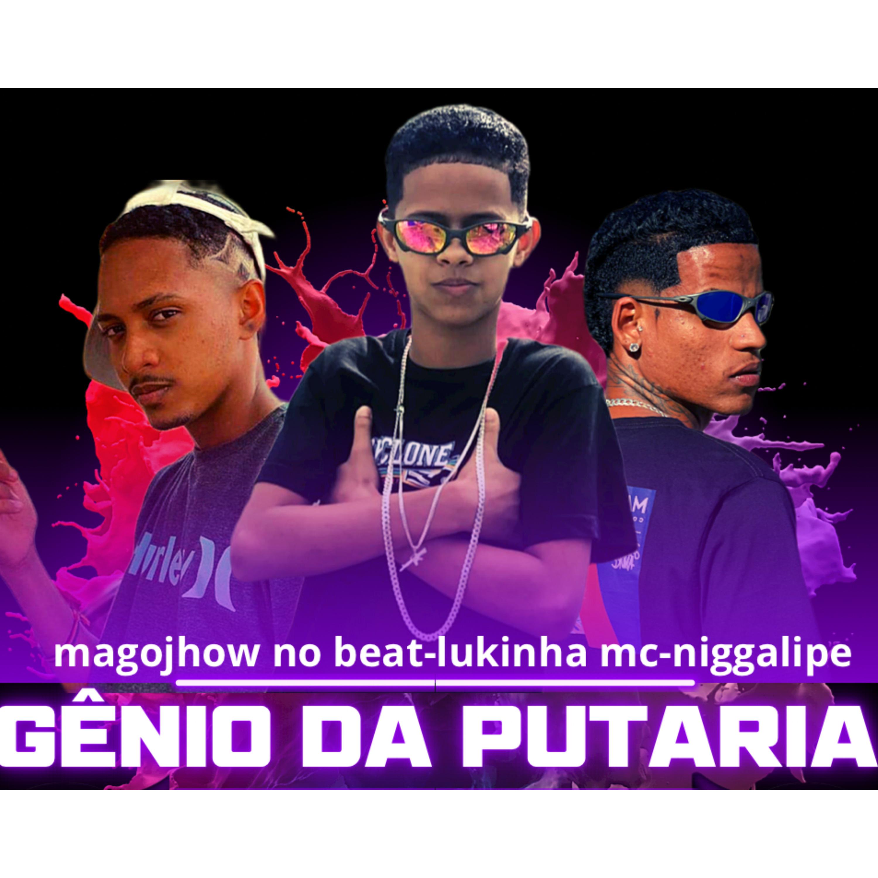 Постер альбома Gênio da Putaria