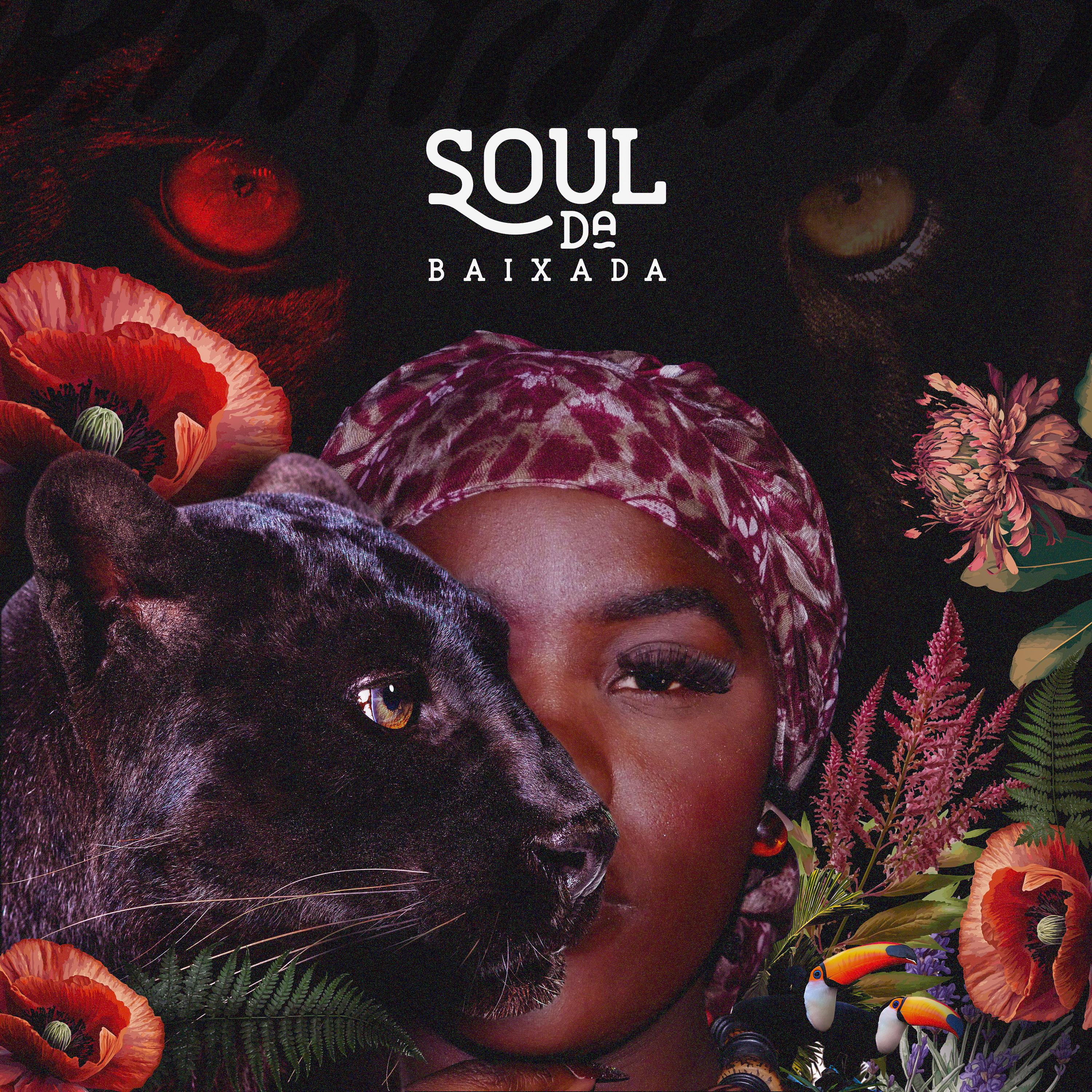 Постер альбома Soul da Baixada