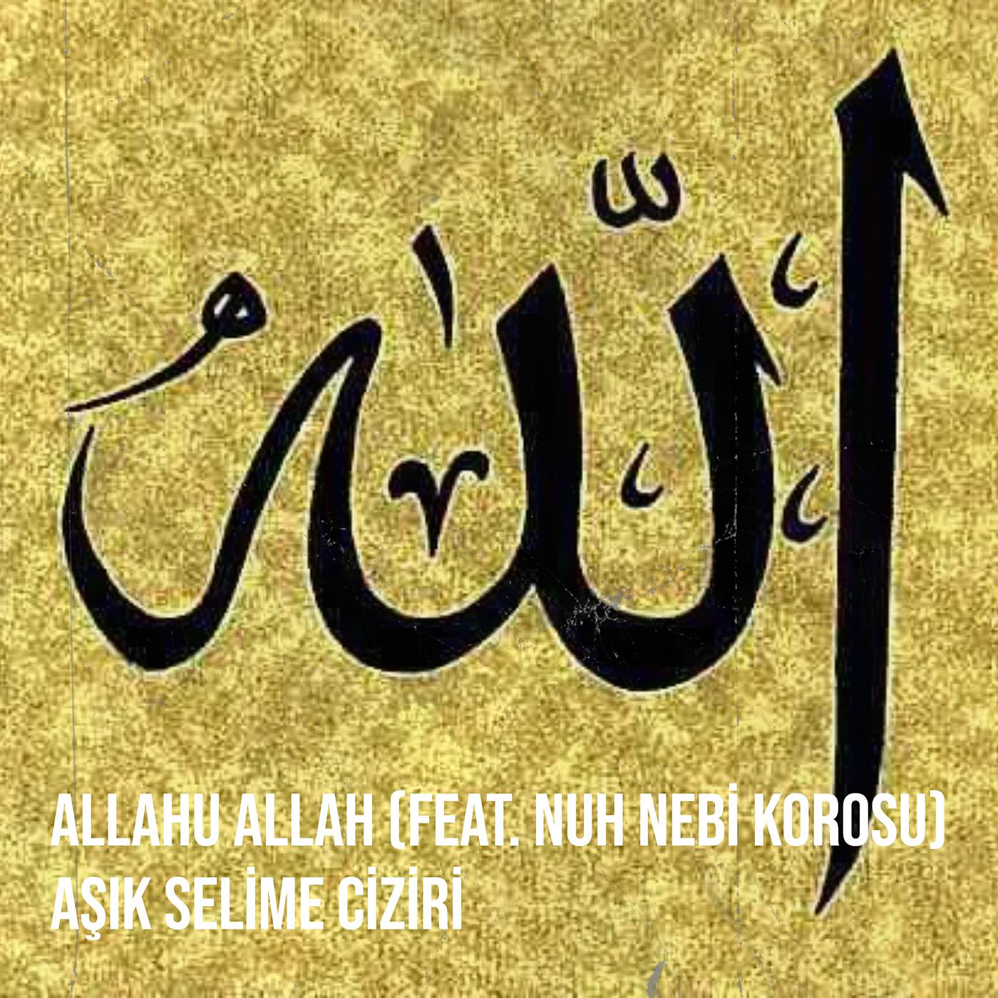 Постер альбома Allahu Allah