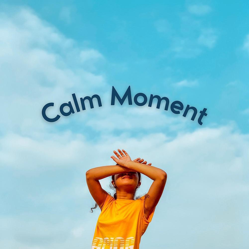 Постер альбома Calm Moment